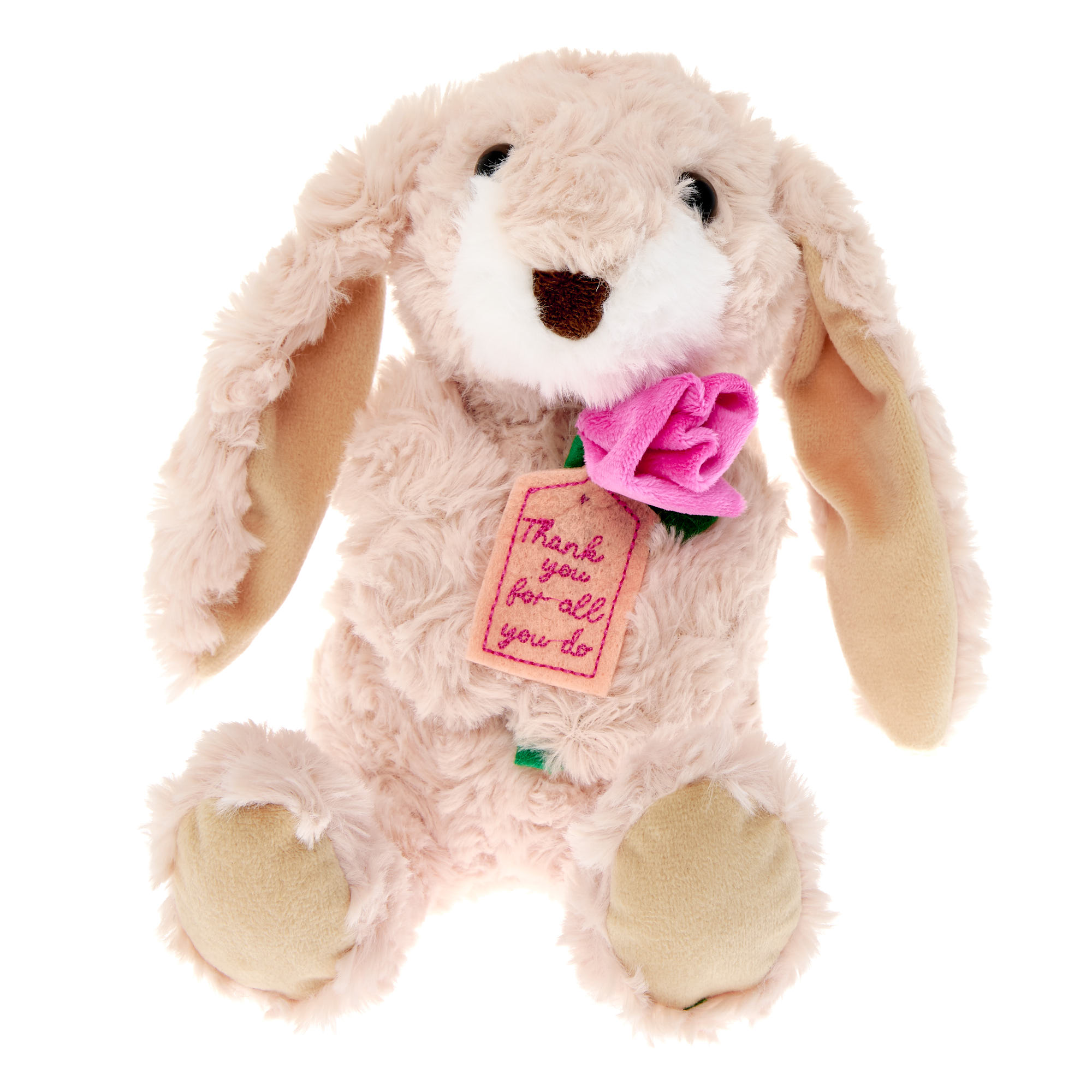Thank You Bunny Soft Toy
