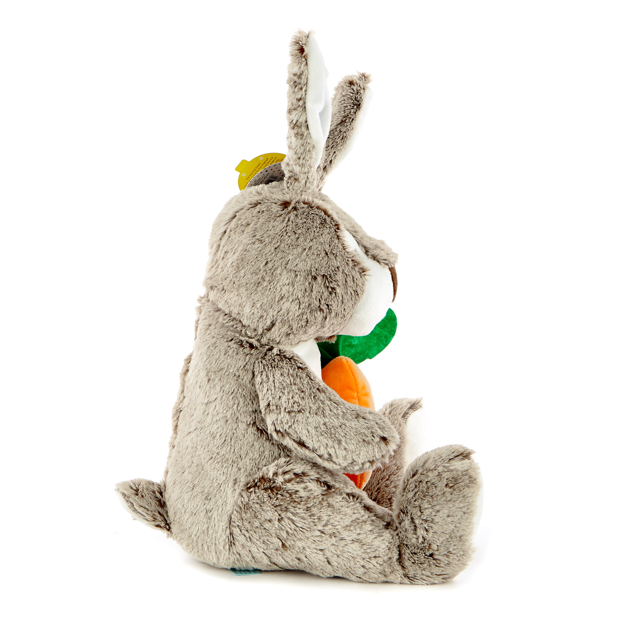 Bunny With Carrot Soft Toy