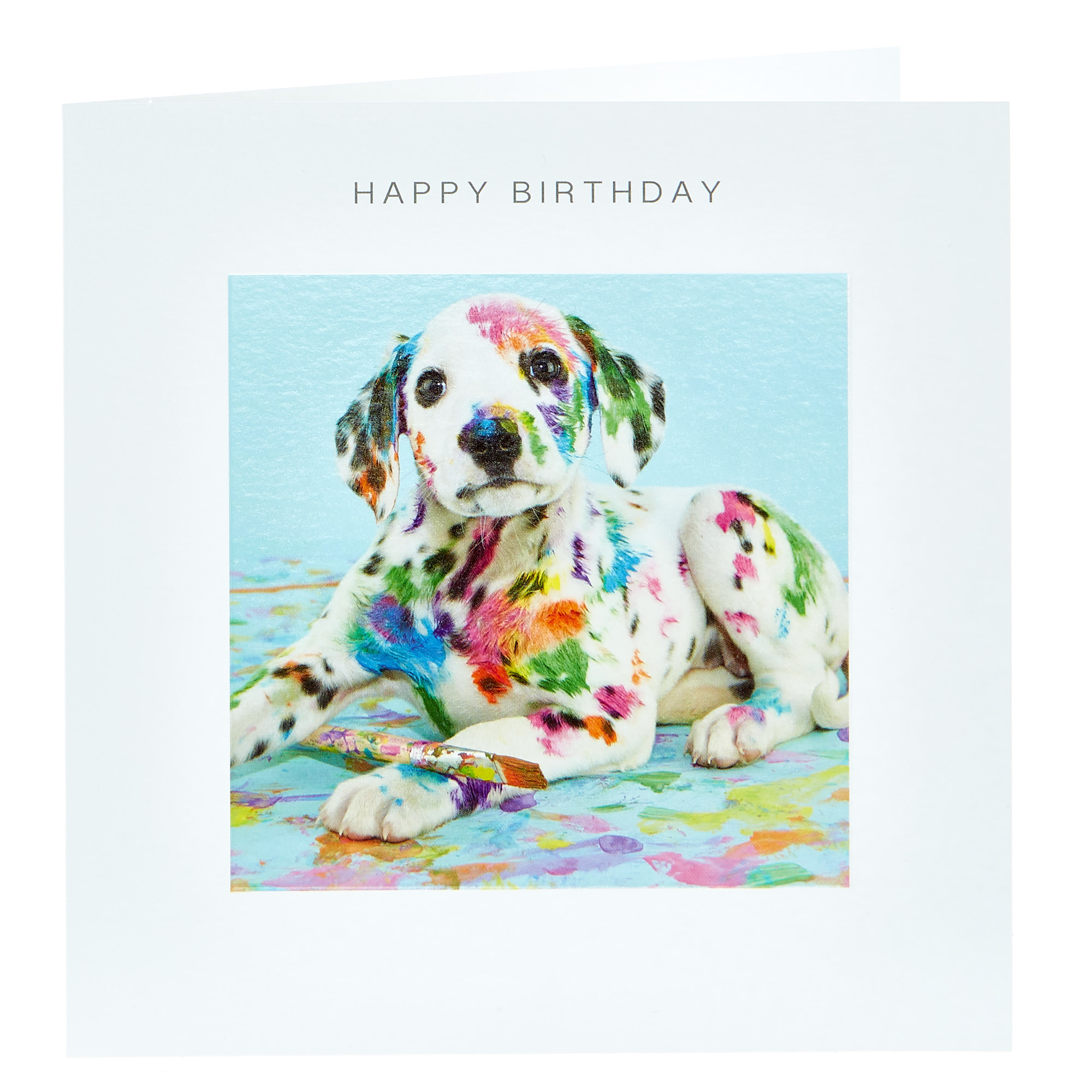 Birthday Card - Messy Dalmatian