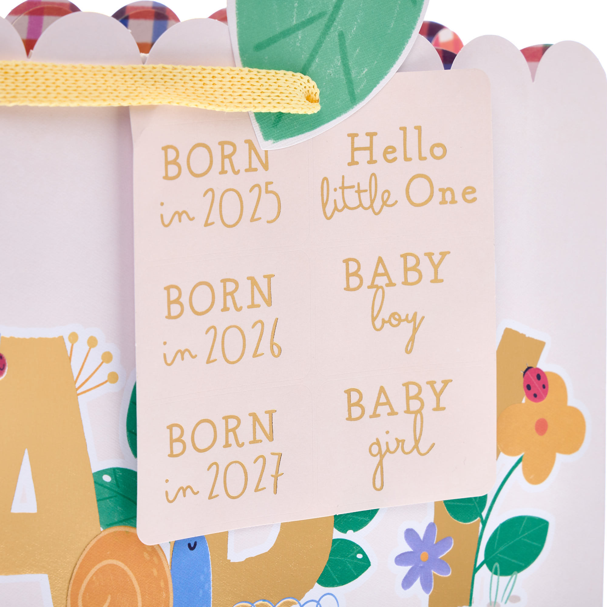 Baby Large Landscape Gift Bag With Stickers