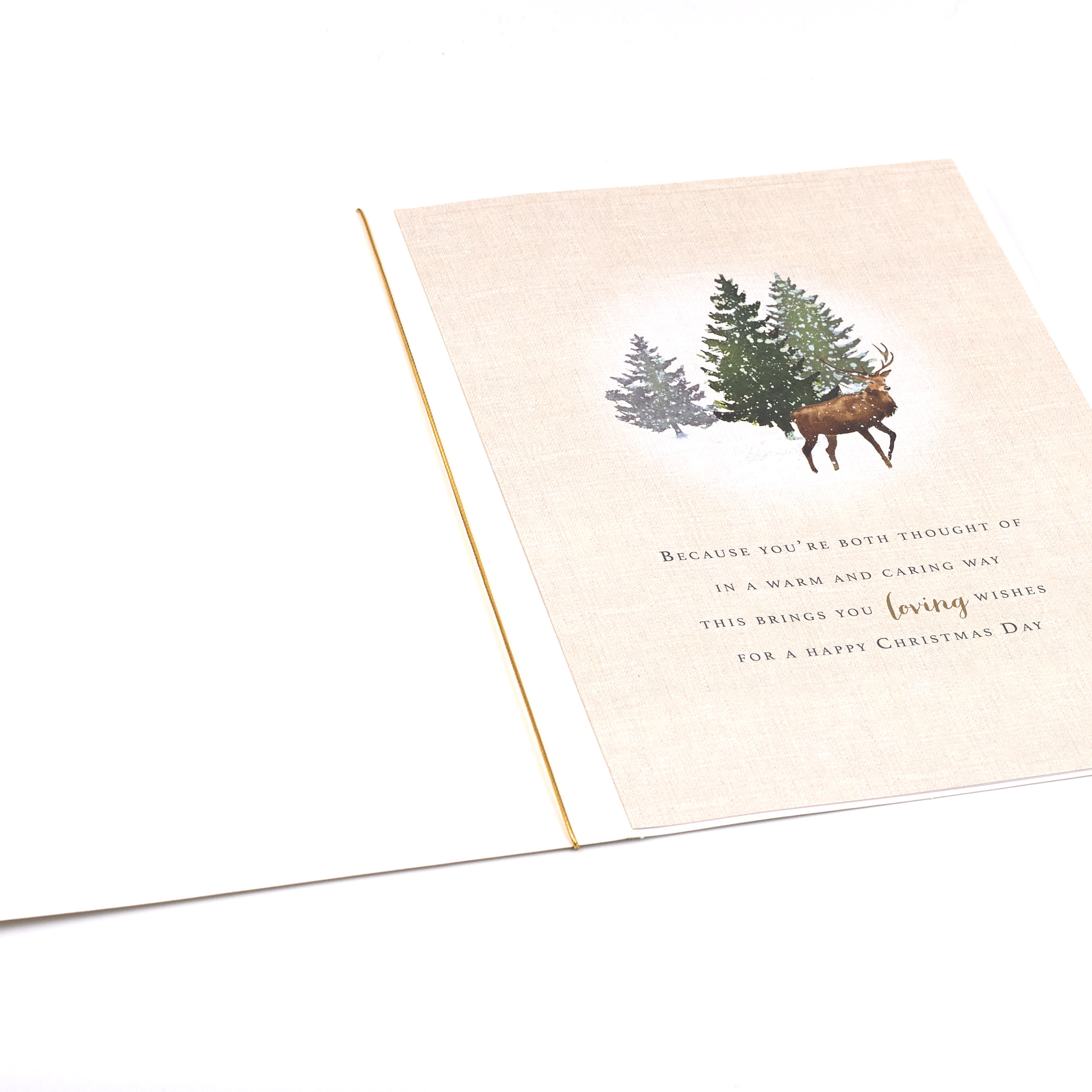 Christmas Card - Brother And Sister In Law, Traditional Deer In The Forest