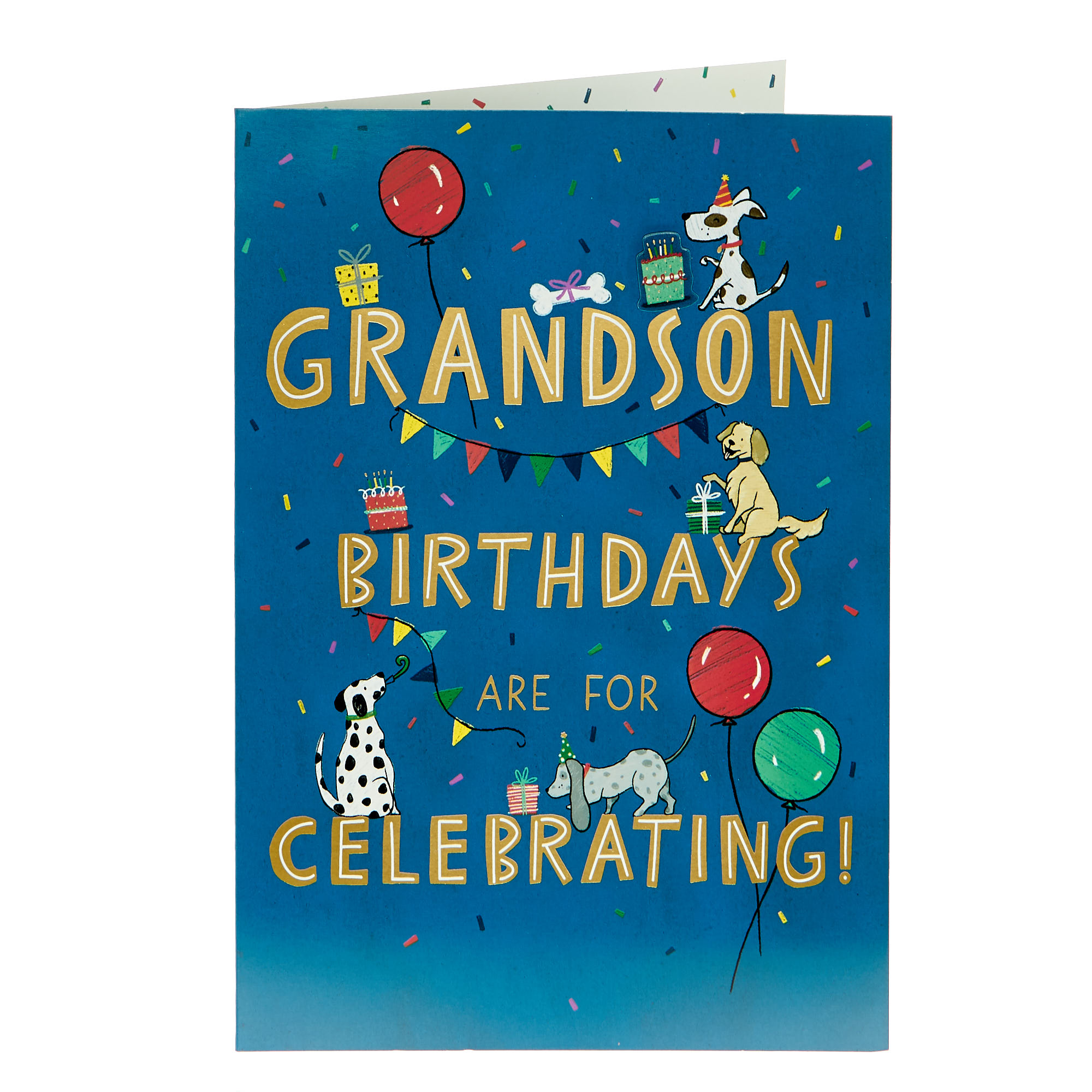 Grandson Celebrating Party Dogs Birthday Card