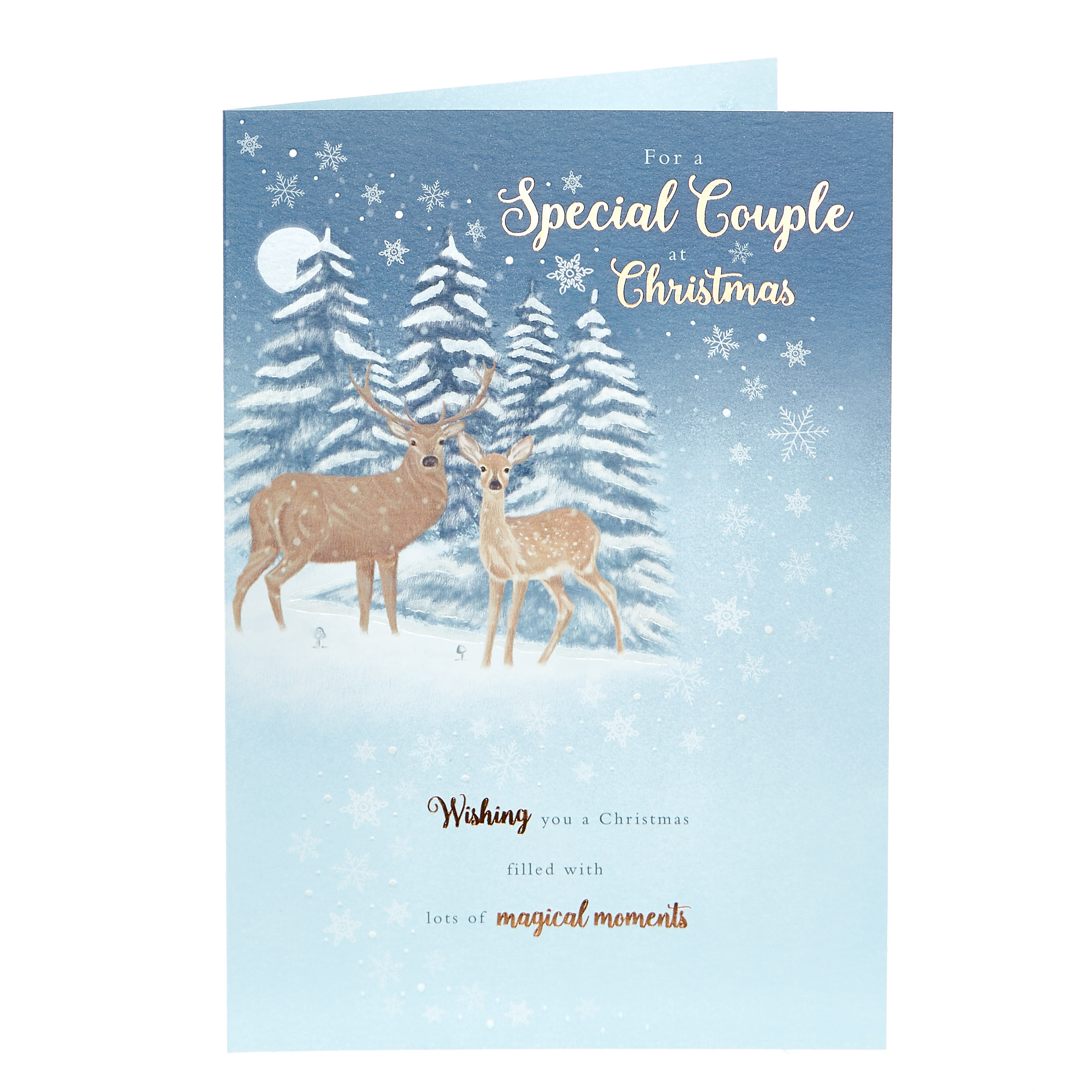 Christmas Card - Special Couple Reindeer 