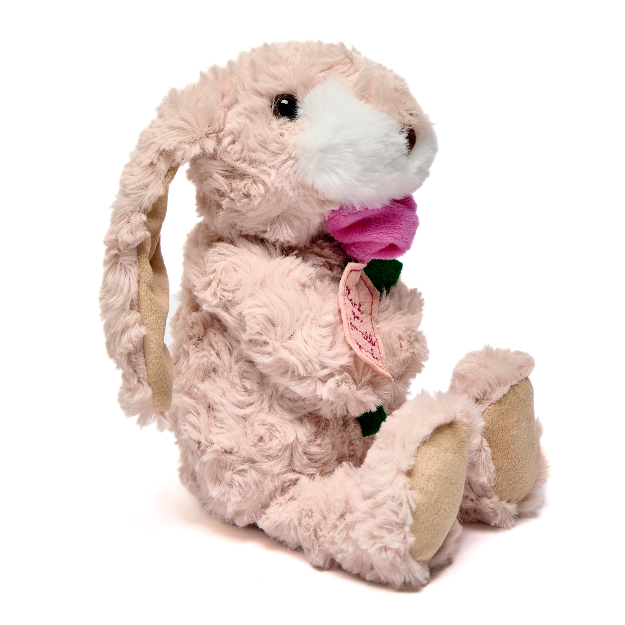 Thank You For All You Do Bunny Soft Toy