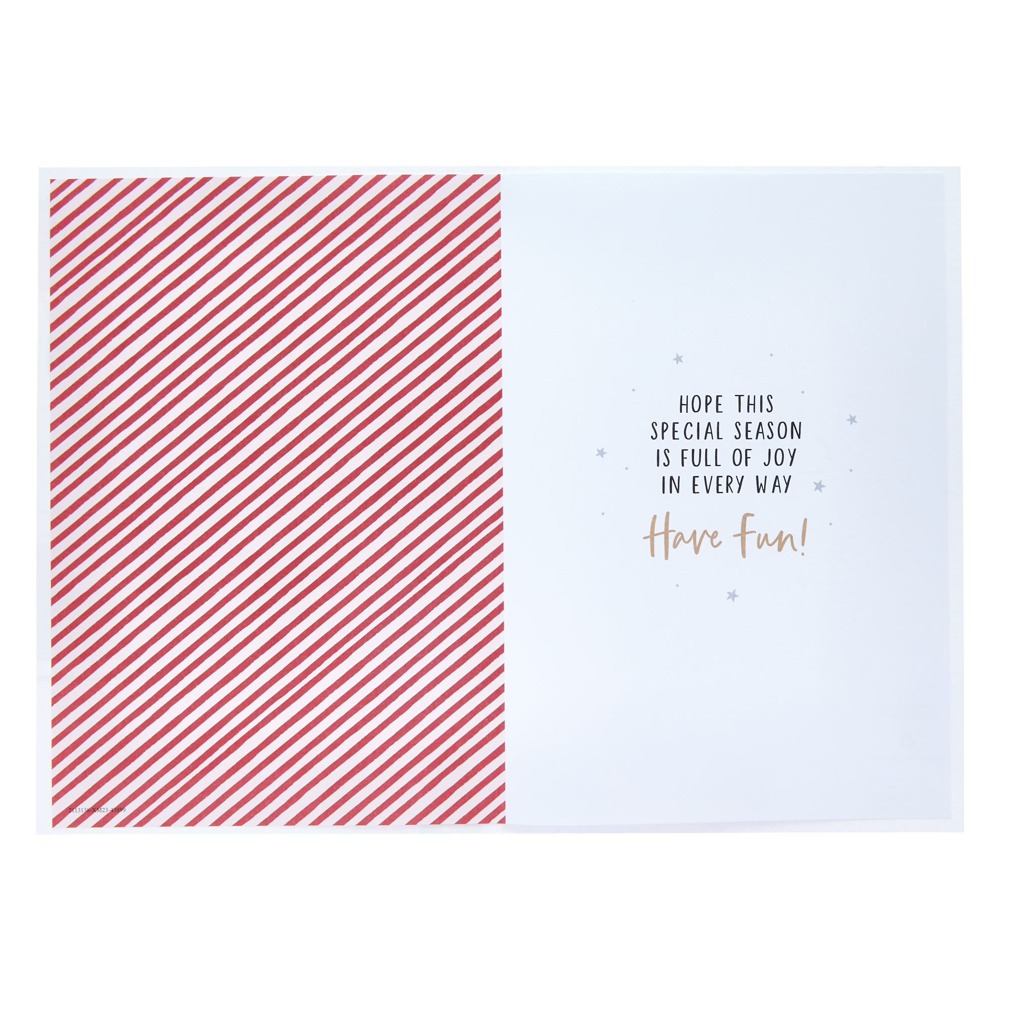 A Wish From All of Us Christmas Card
