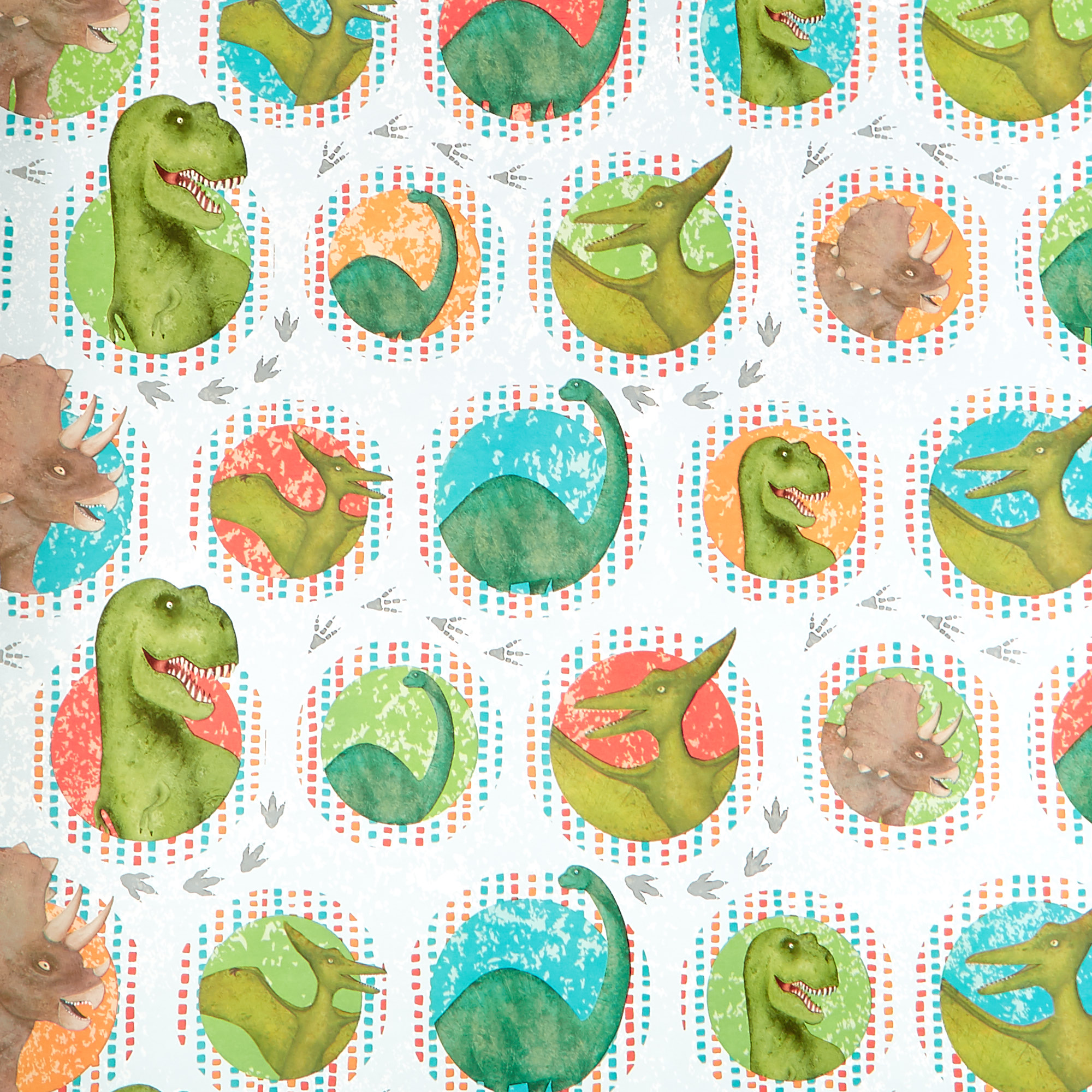 Dinosaur Wrapping Paper - 3 Metres 