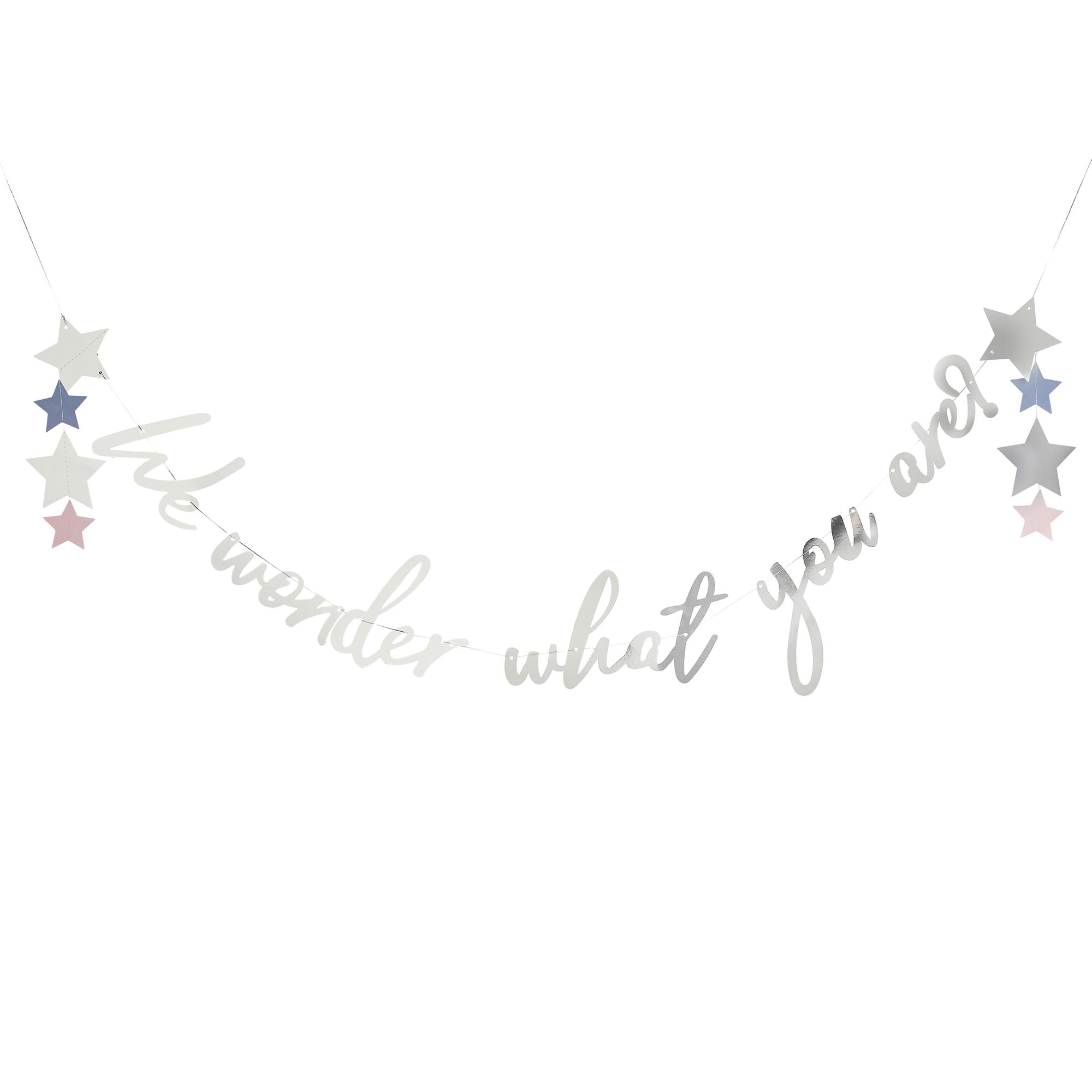 Silver We Wonder What You Are? Card Banner 2m