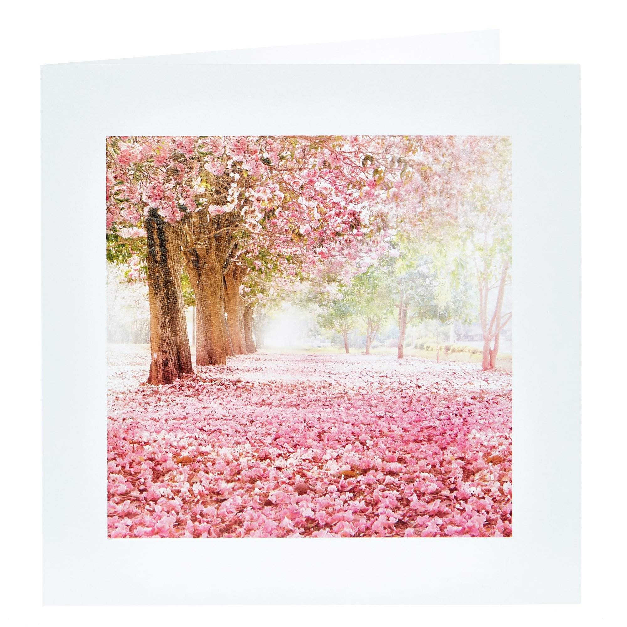 Any Occasion Card - Pink Blossom