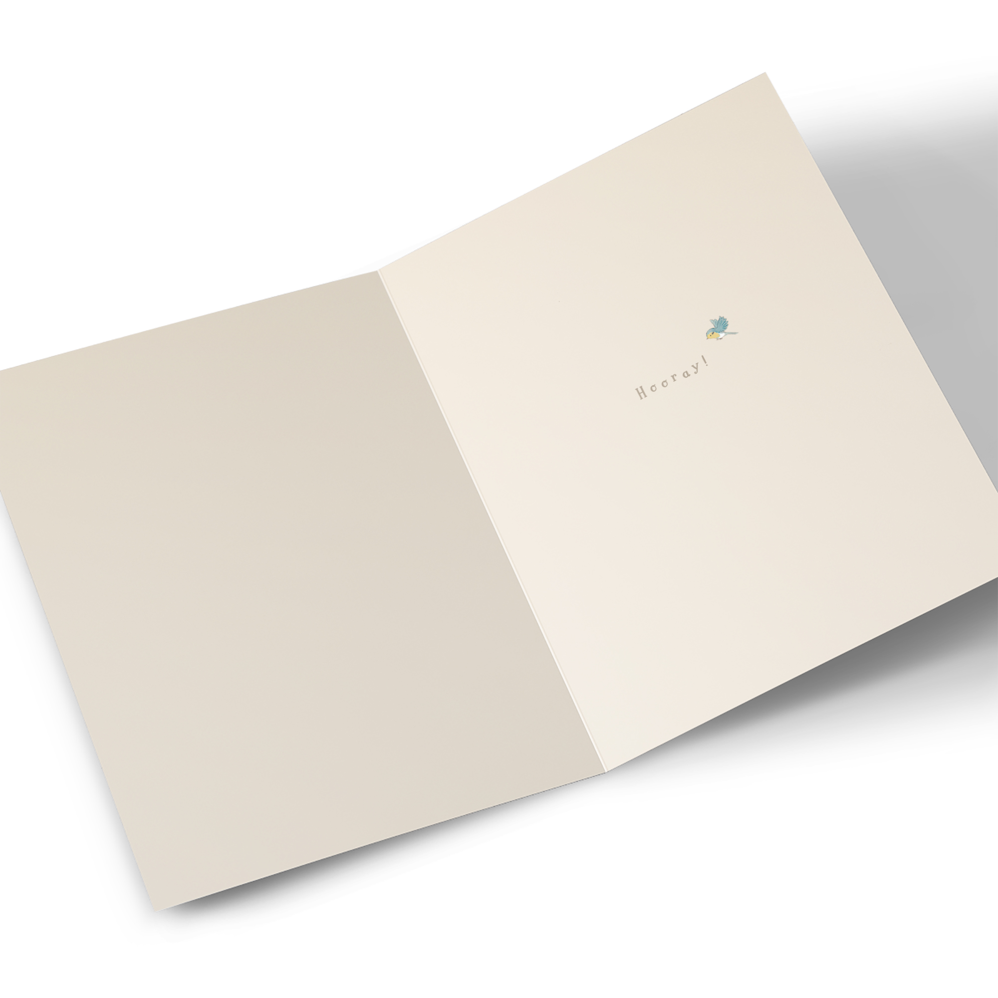 Congratulations Card - You Deserve All Your Dreams To Come True