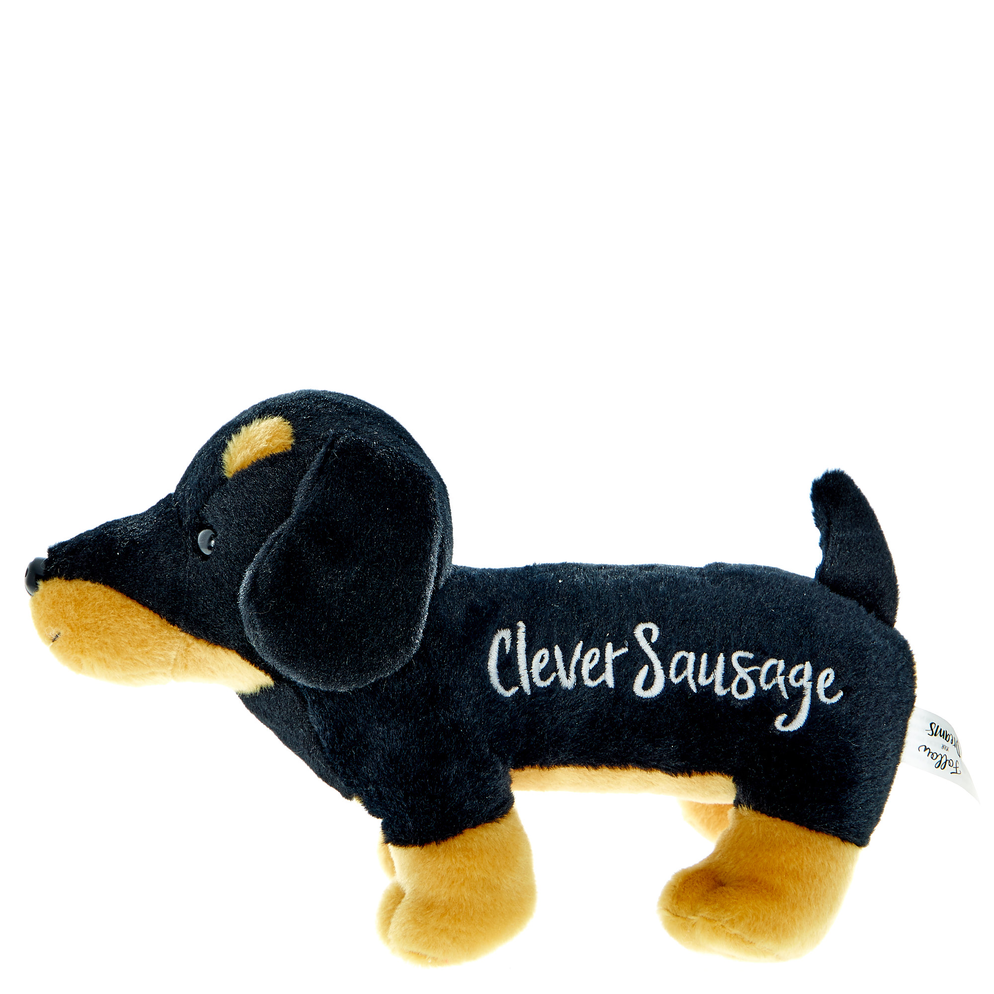 Graduation Clever Sausage Dog Plush