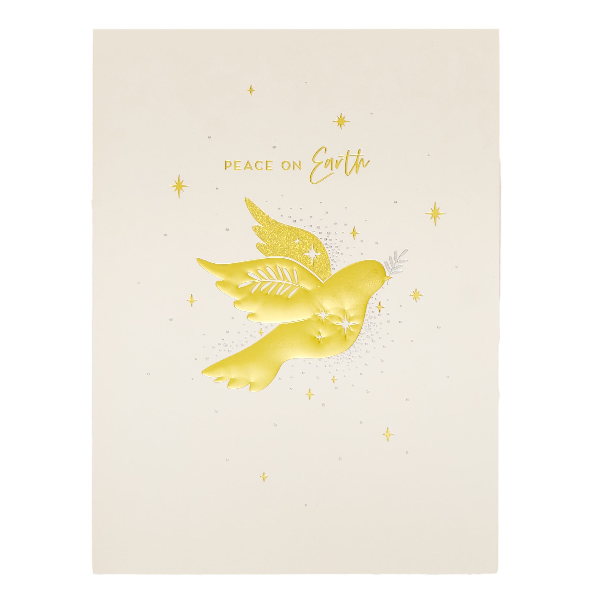 10 Deluxe Religious Charity Christmas Cards - 2 Designs