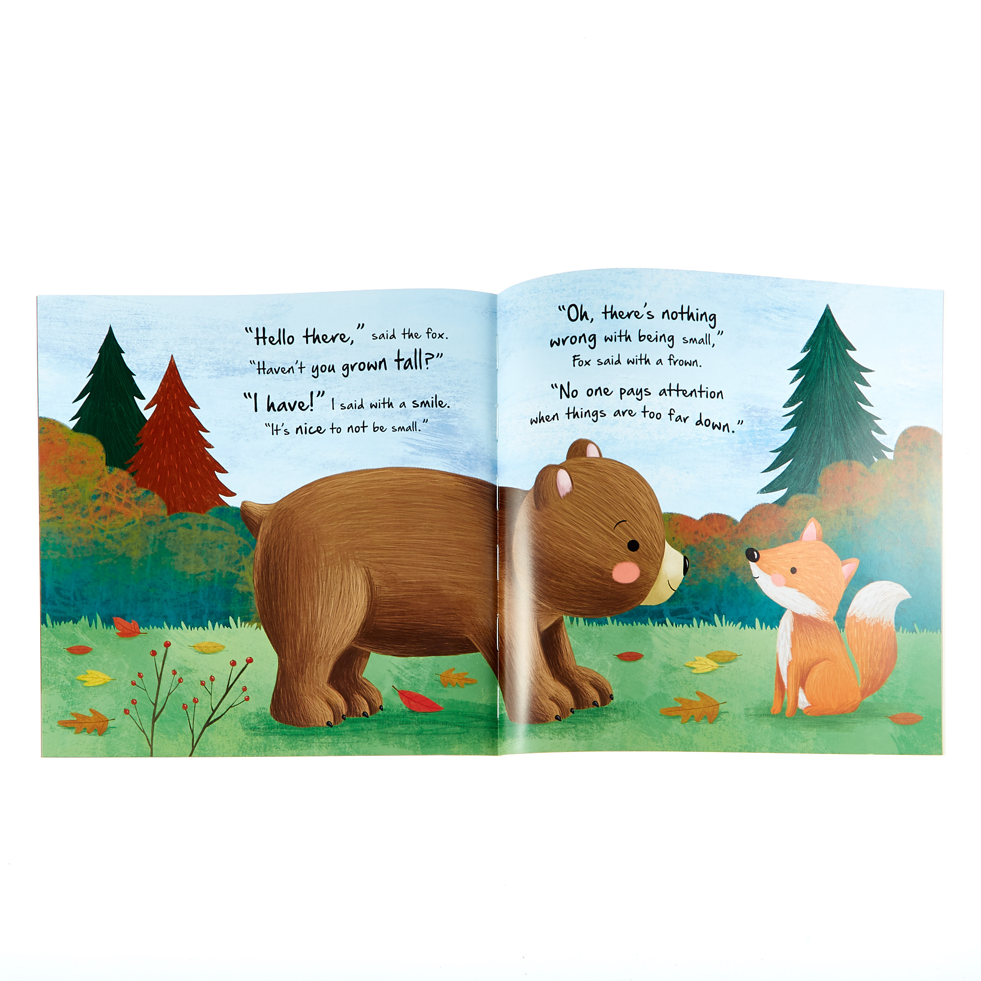 Little Bear Storybook