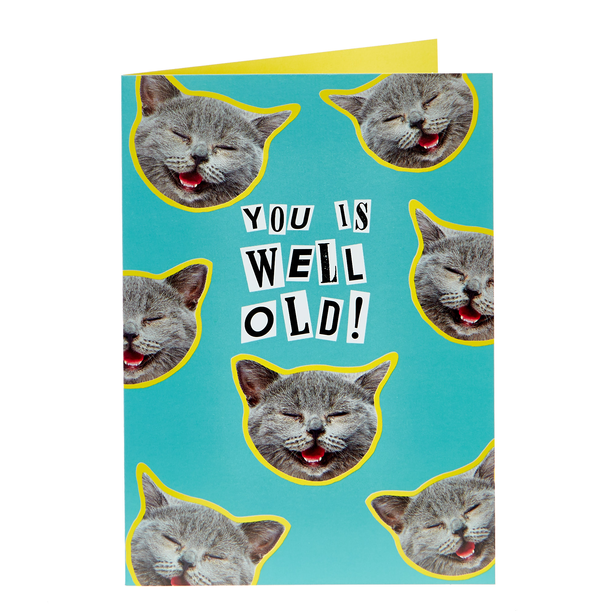 Birthday Card - You Is Well Old