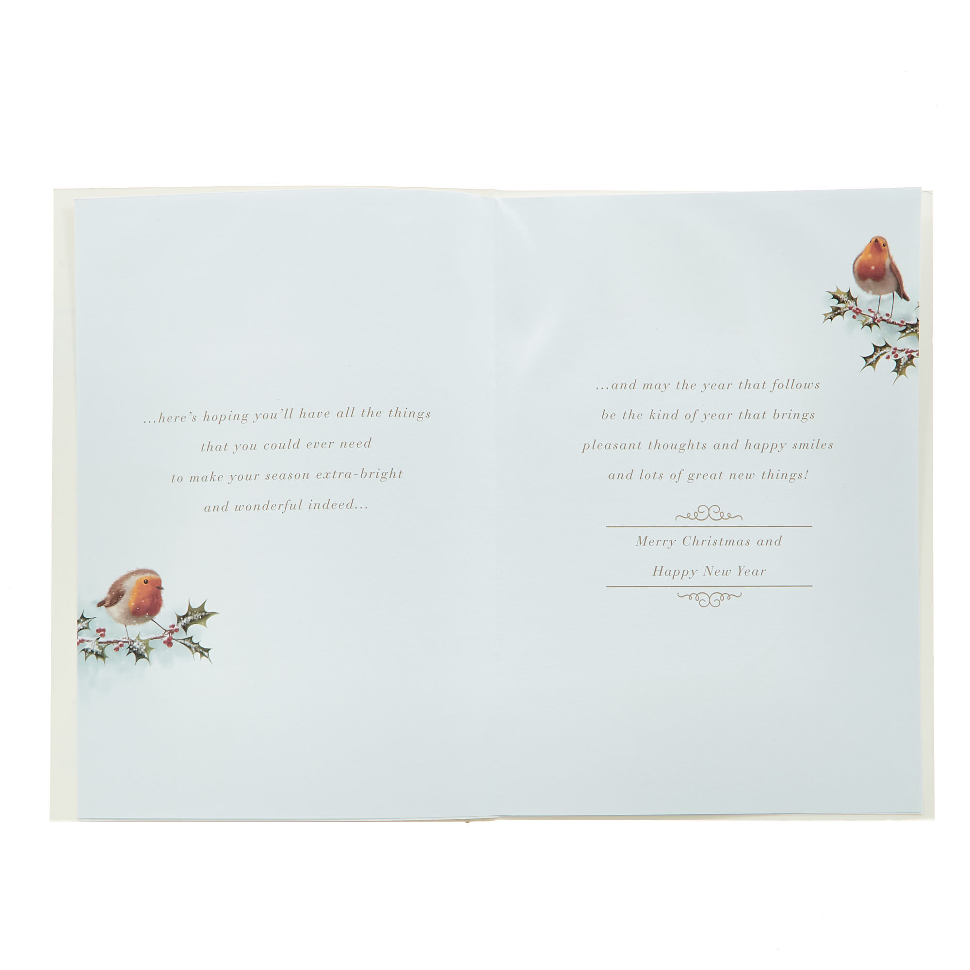 Christmas Card - Any Recipient, Robins 