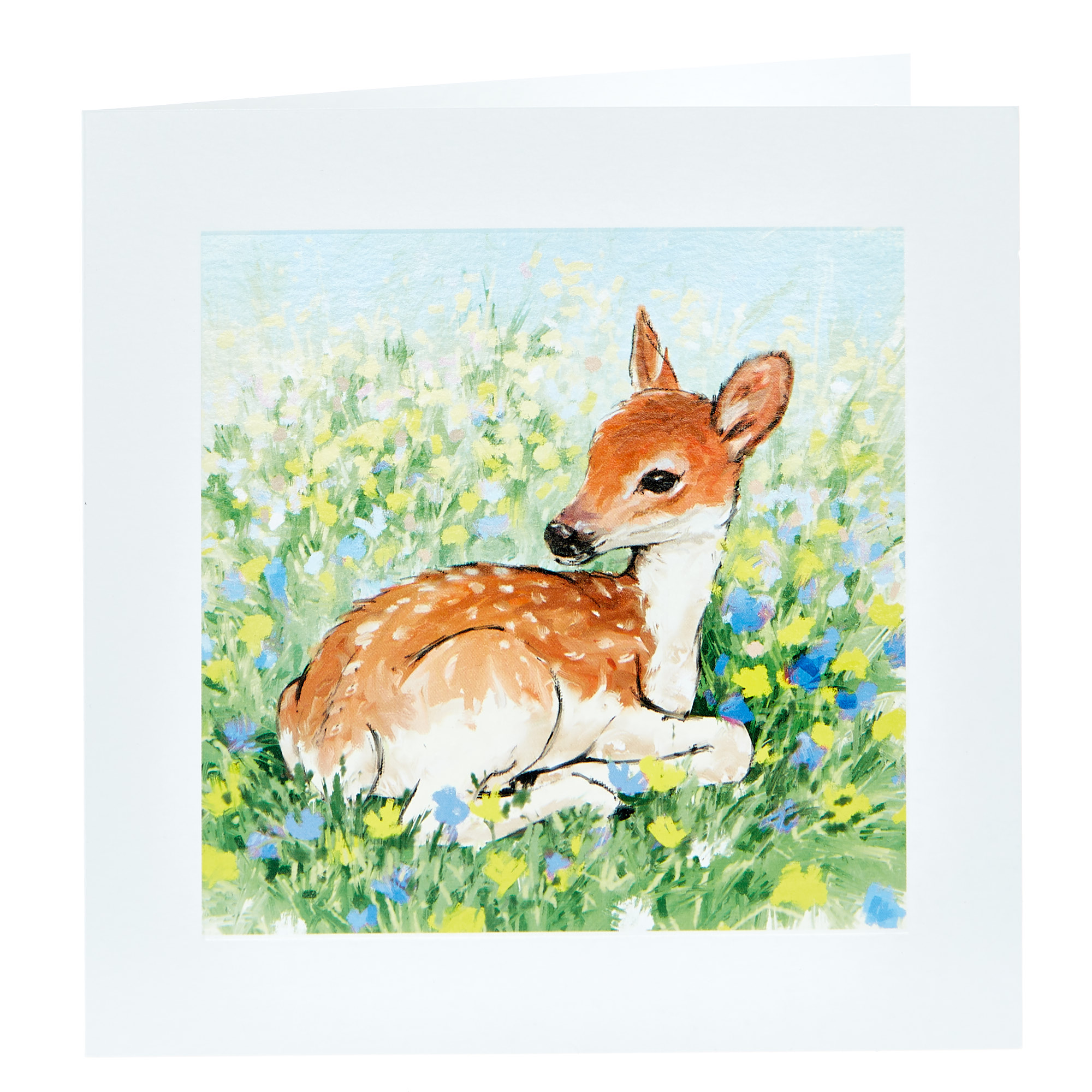 Any Occasion Card - Painted Fawn
