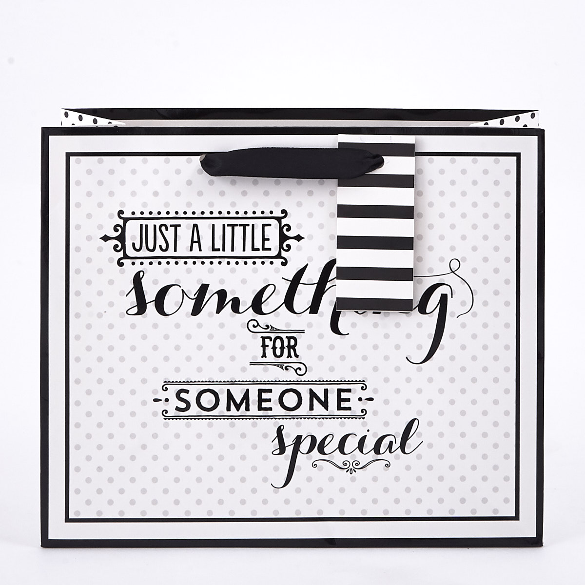 Medium Landscape Black & White Someone Special Gift Bag