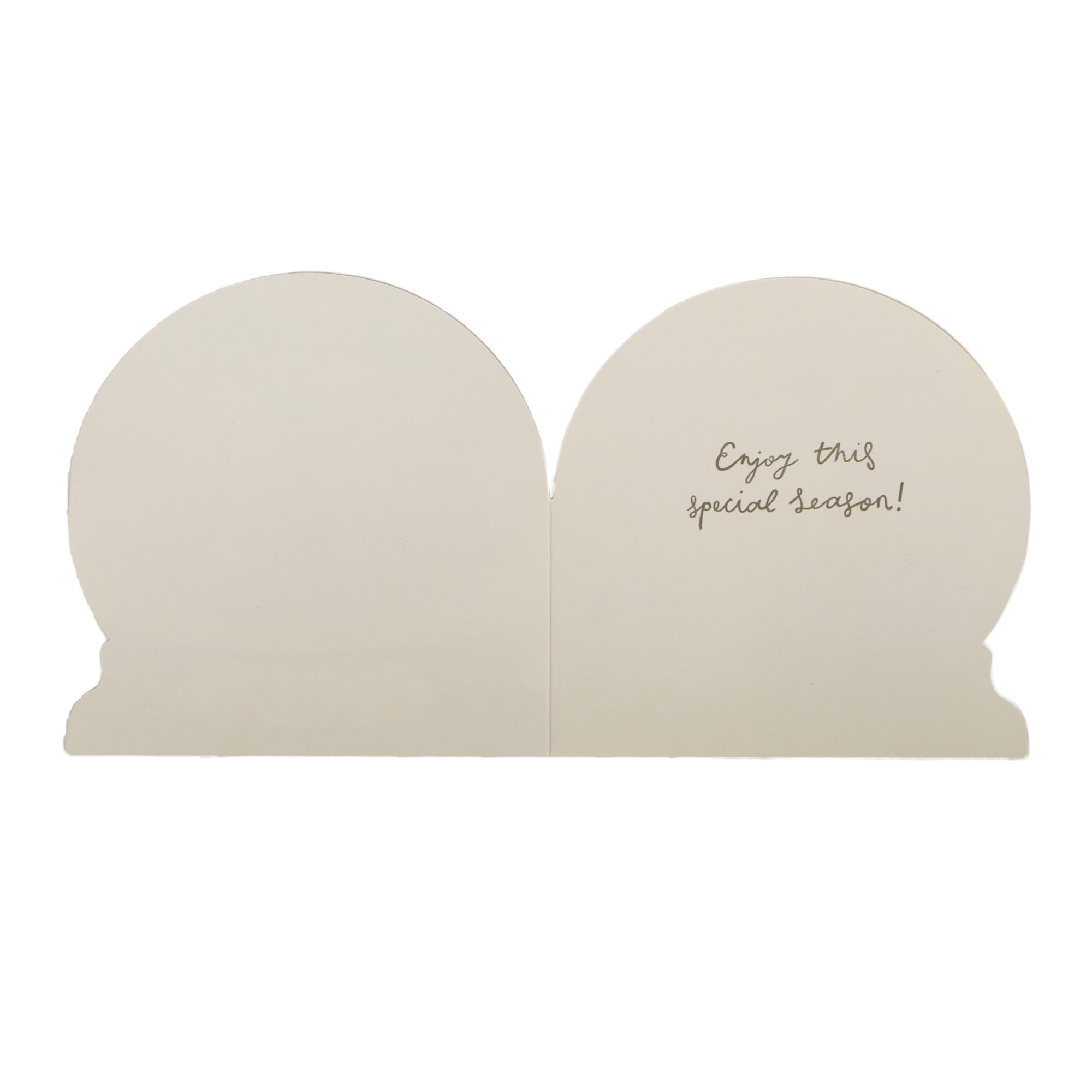 16 Snow Globe Charity Christmas Cards - 2 Designs