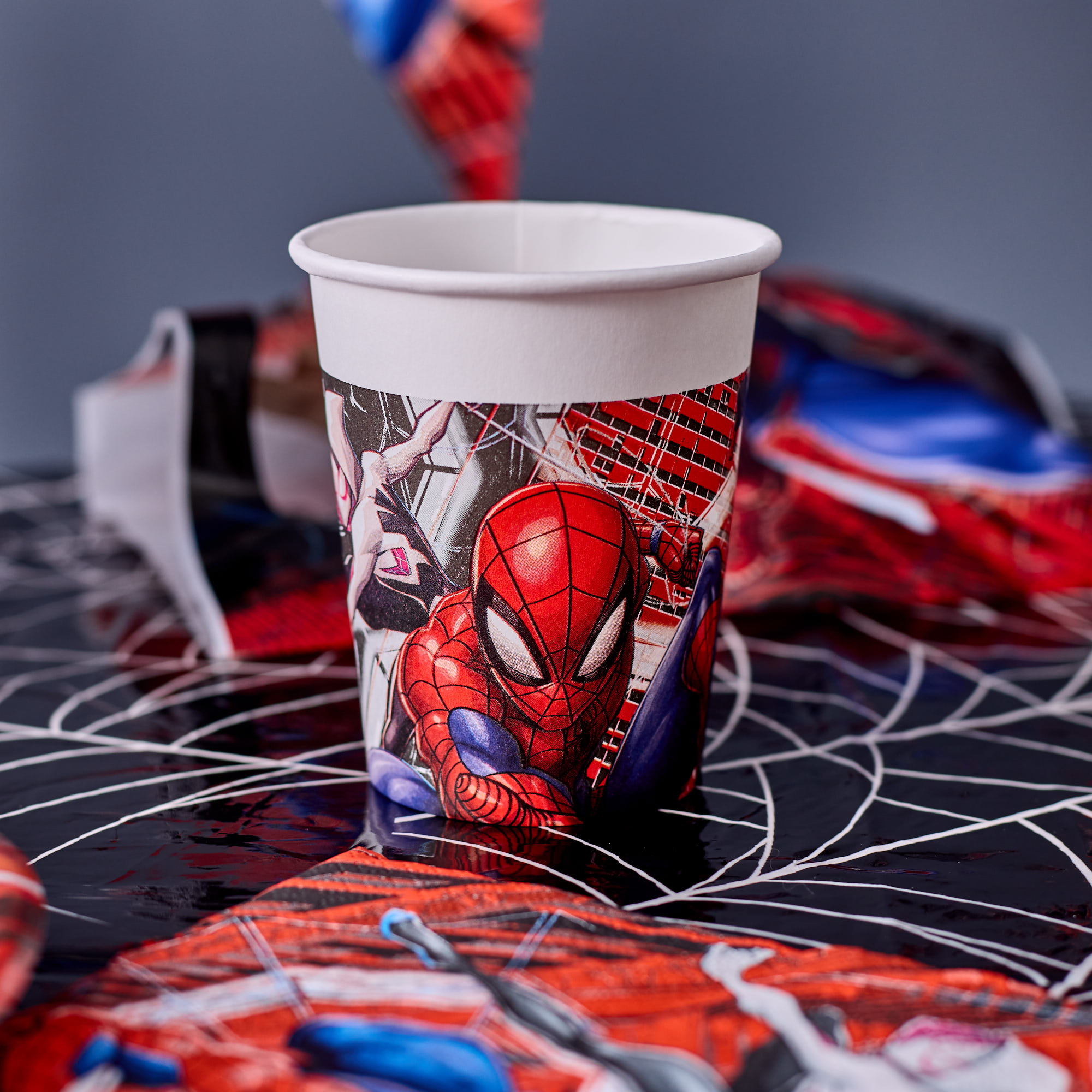 Spider-Man Crime Fighter Party Tableware & Decorations - 16 Guests