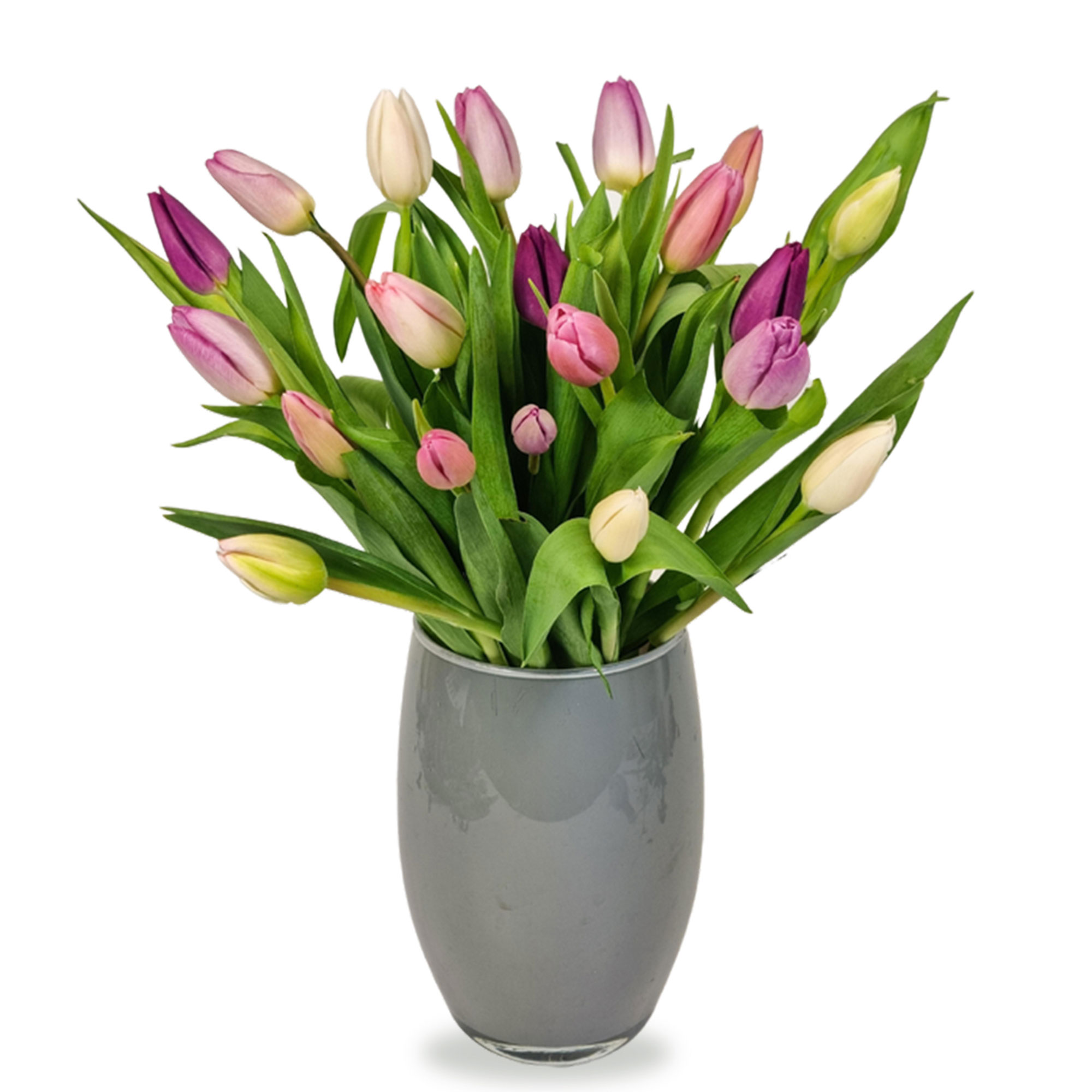 Buy Letterbox Tulips Flower Bouquet for GBP 23.99 Card Factory UK