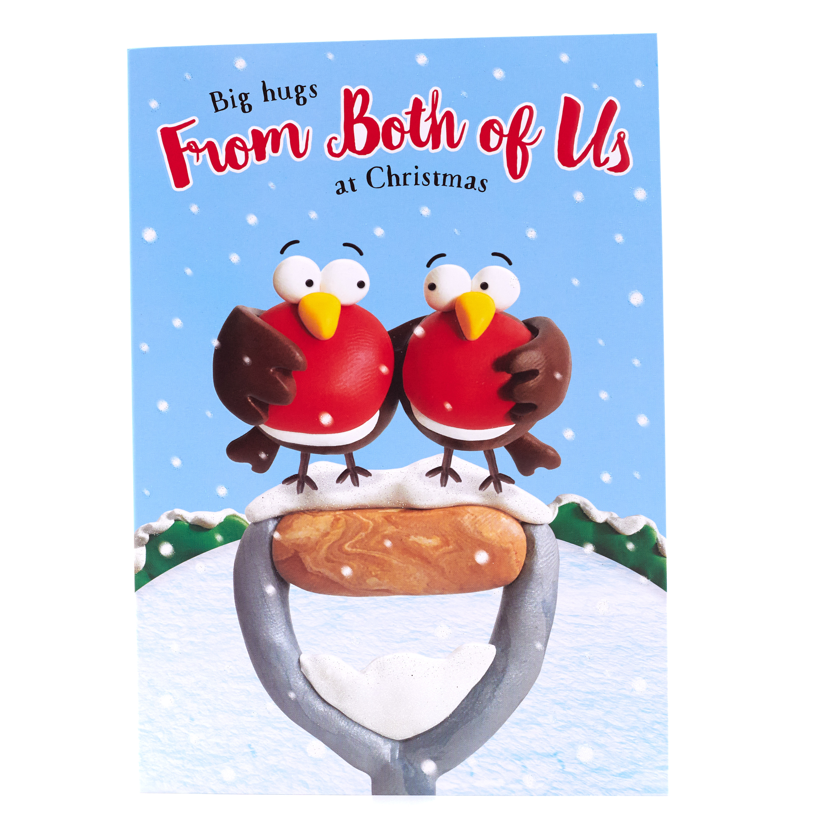 Christmas Card - From Both Of Us, Cute Robins