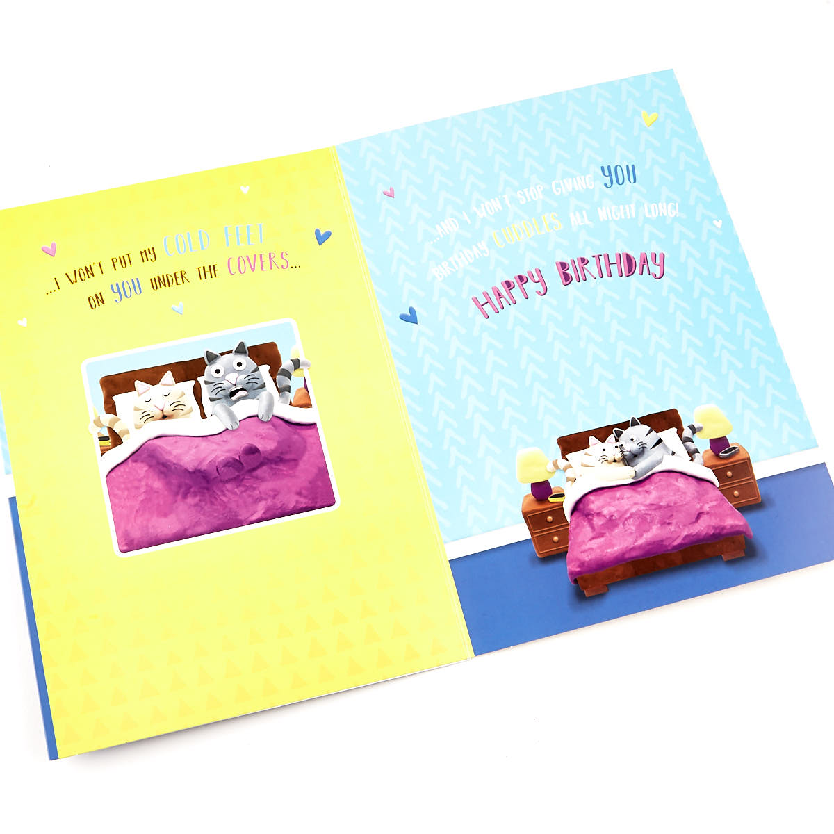 Signature Collection Birthday Card - Husband Cats 