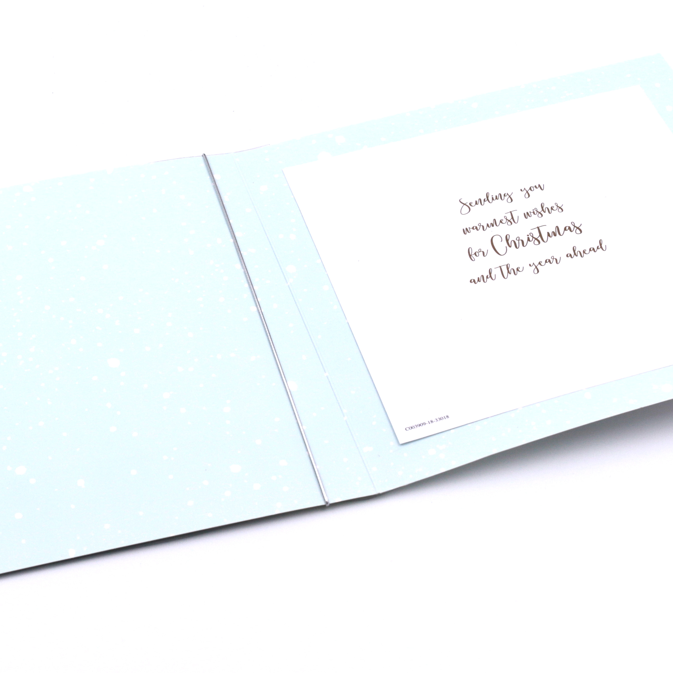 Exquisite Collection Christmas Card - Winter Wonderland 