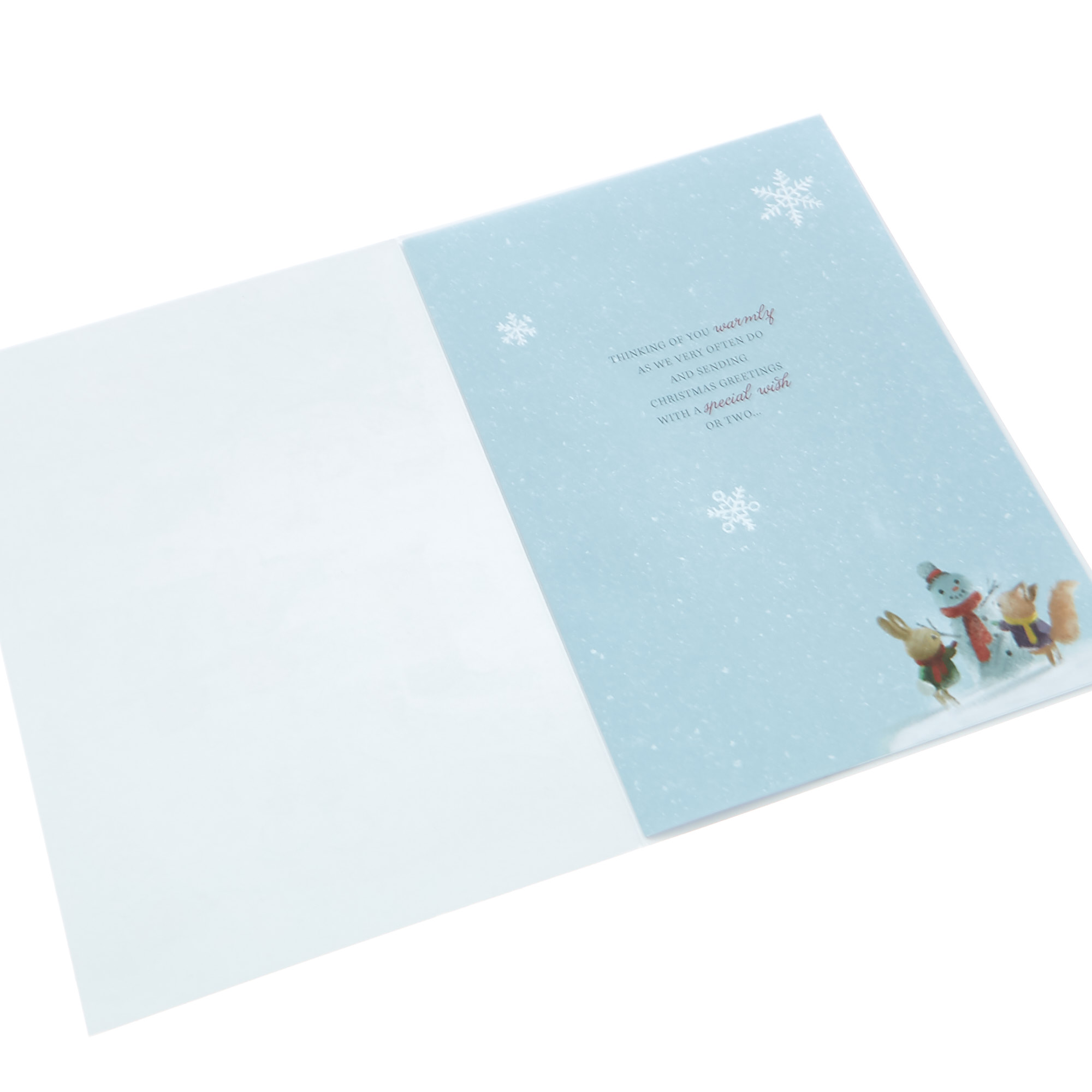 Christmas Card - To Special Friends