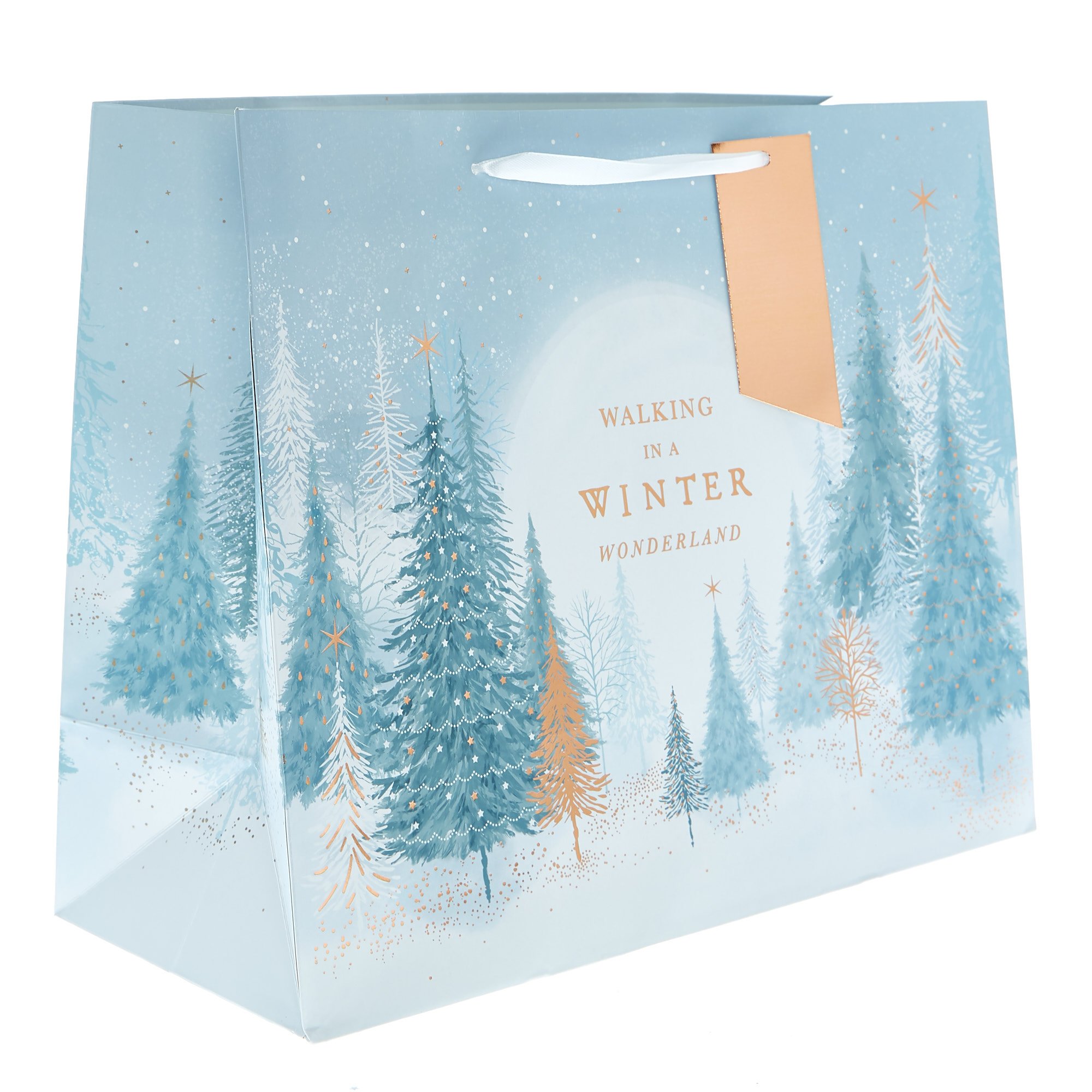 Large Landscape Winter Wonderland Christmas Gift Bag