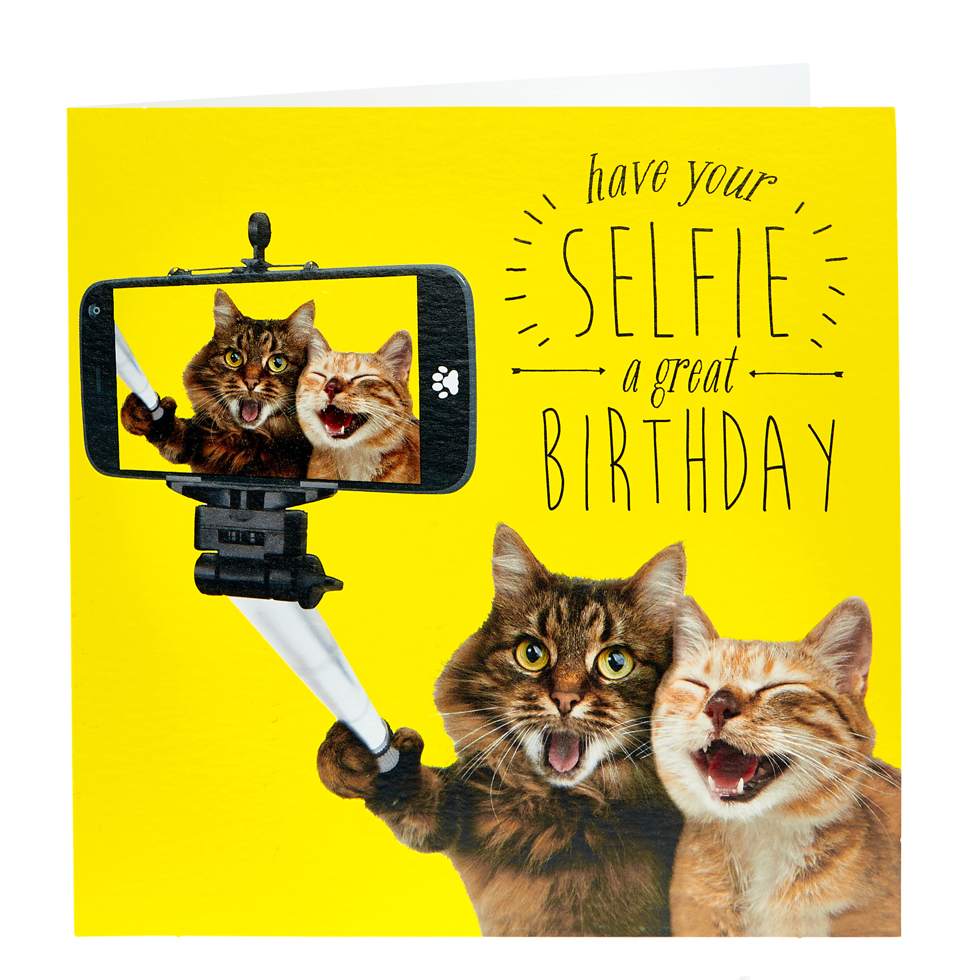 Birthday Card - Kitten Selfies
