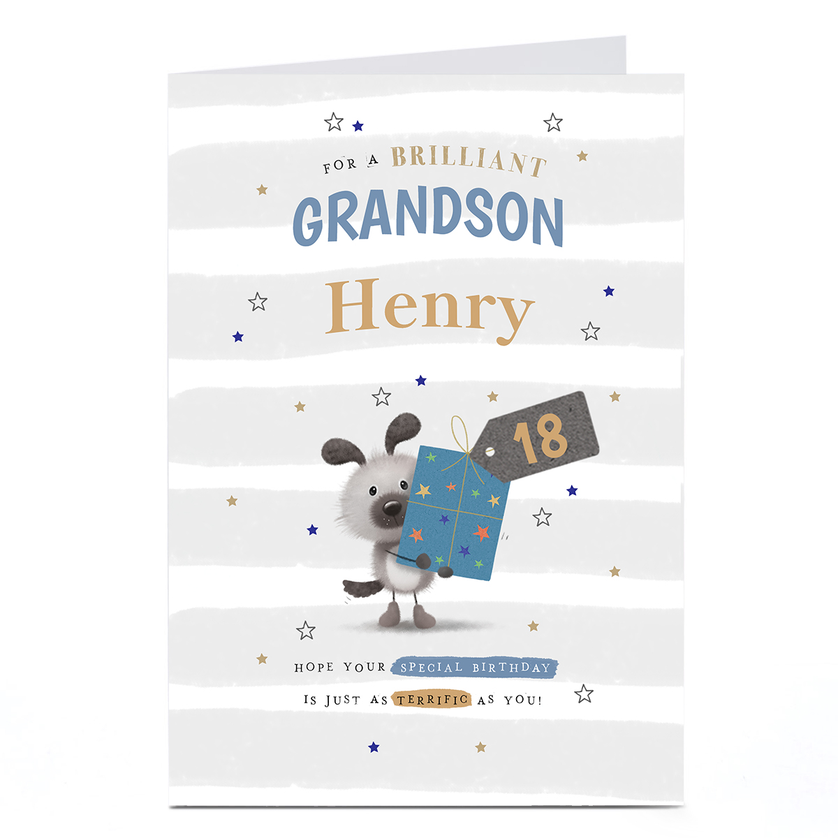 Personalised Studio Birthday Card - Dog with Gift, Editable Age