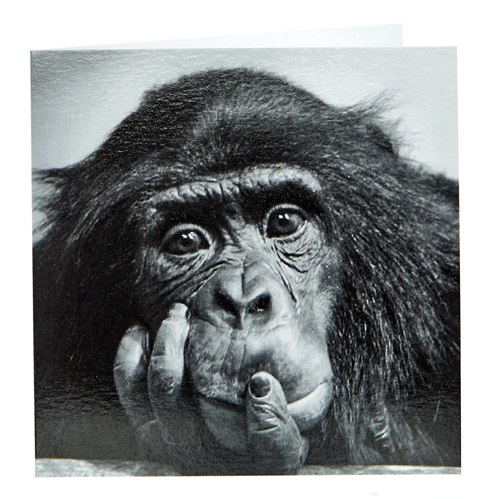 Any Occasion Card - Black & White Chimpanzee