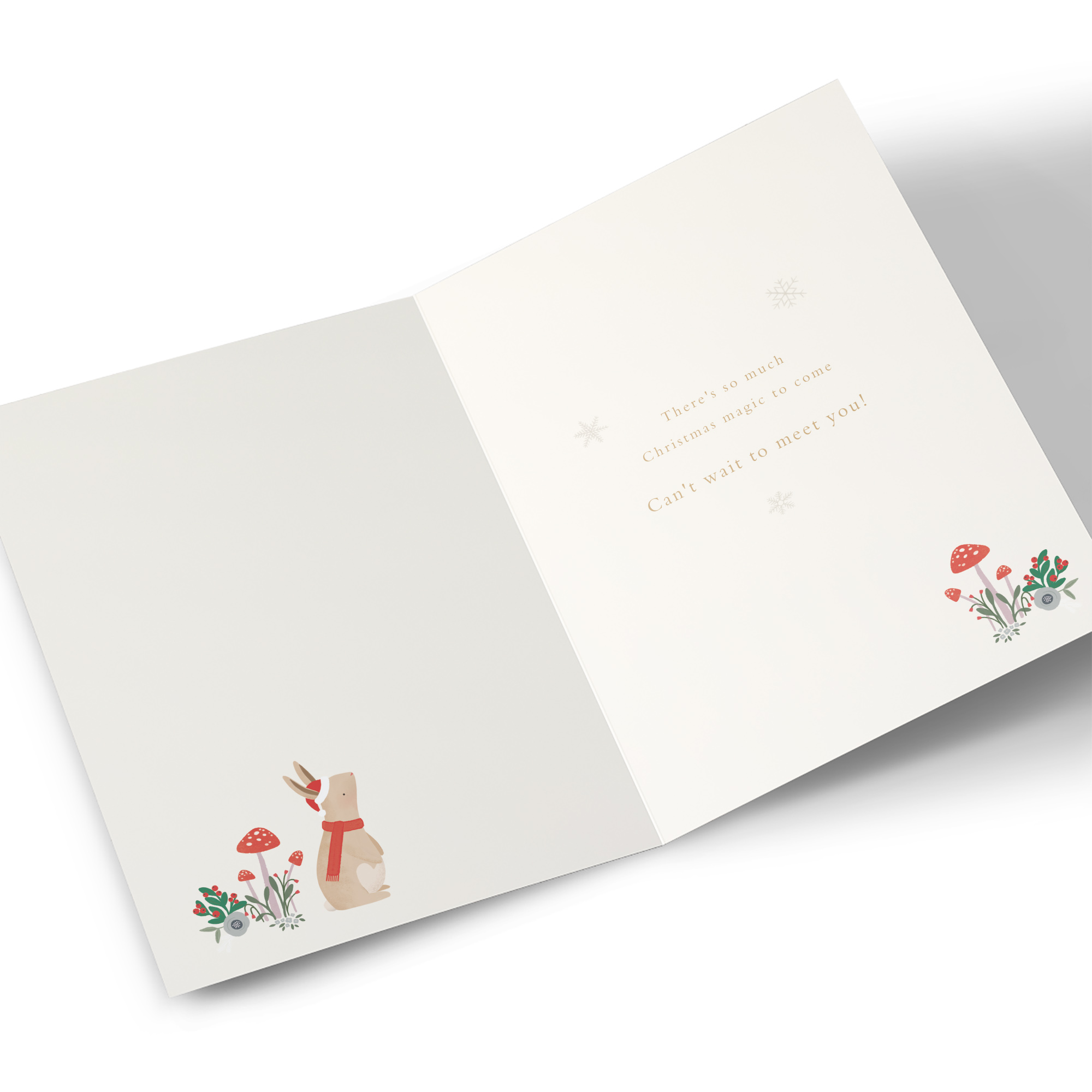 Christmas Card - From the Bump