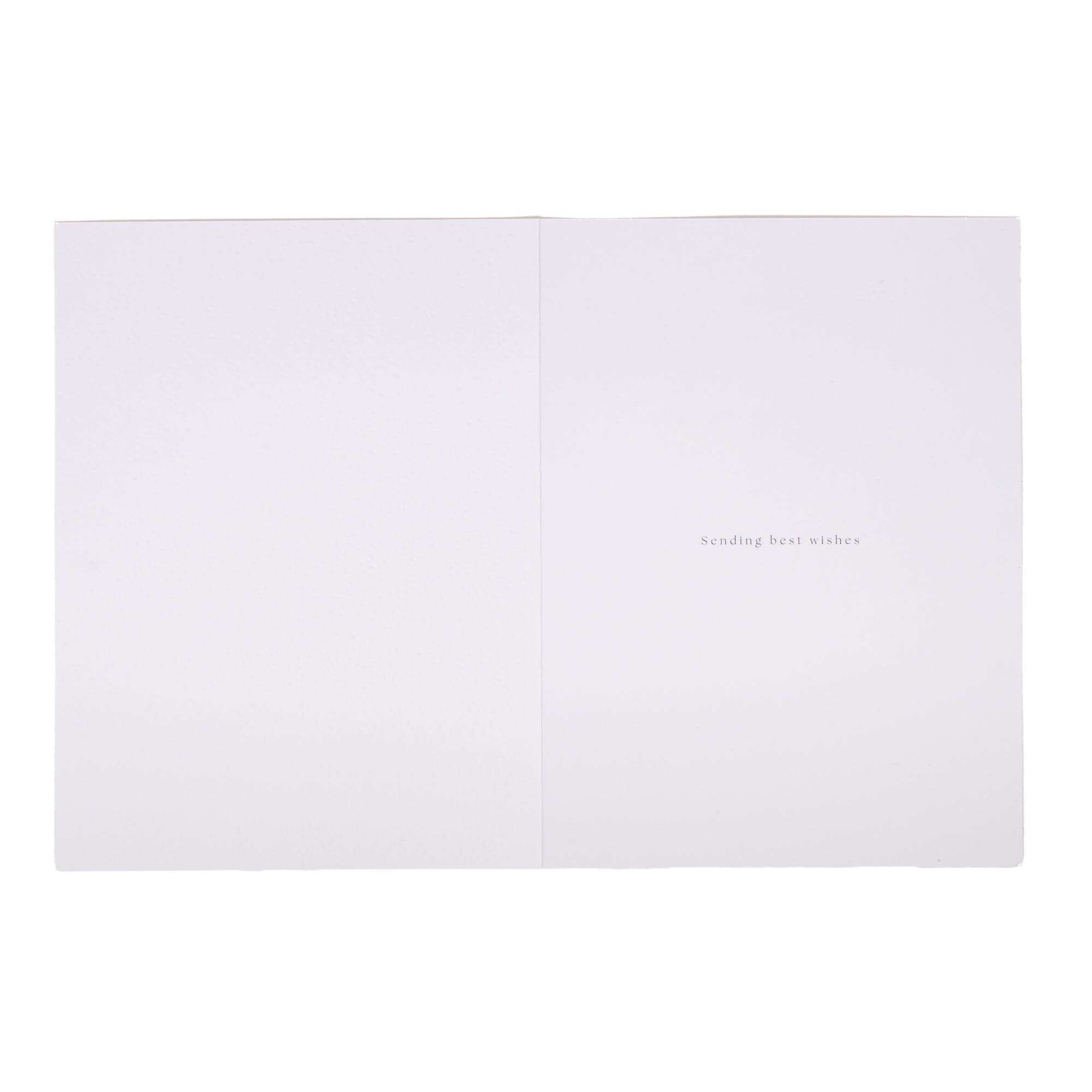 10 Deluxe Skating Scene Charity Christmas Cards - 2 Designs