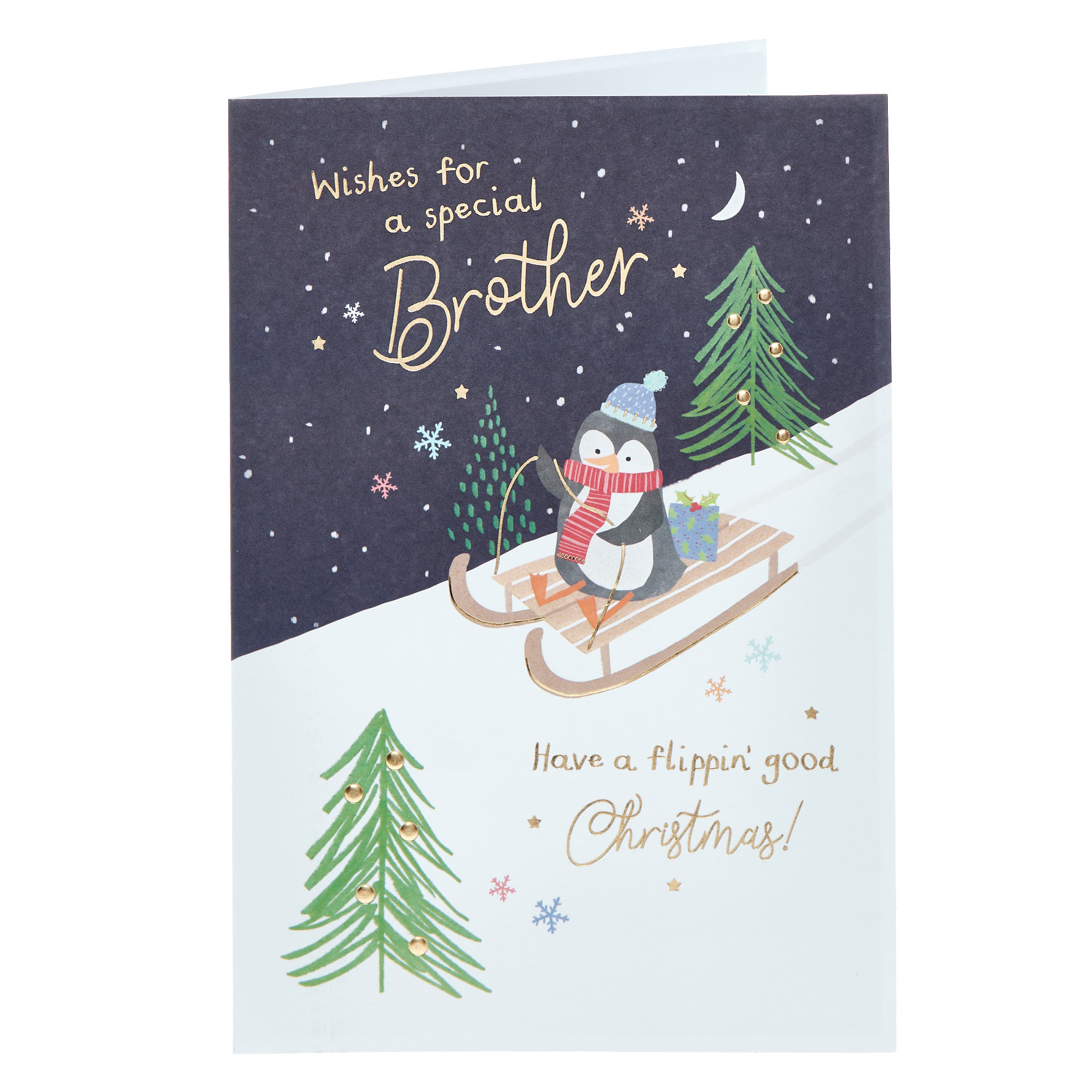Brother Penguin & Sledge Christmas Card