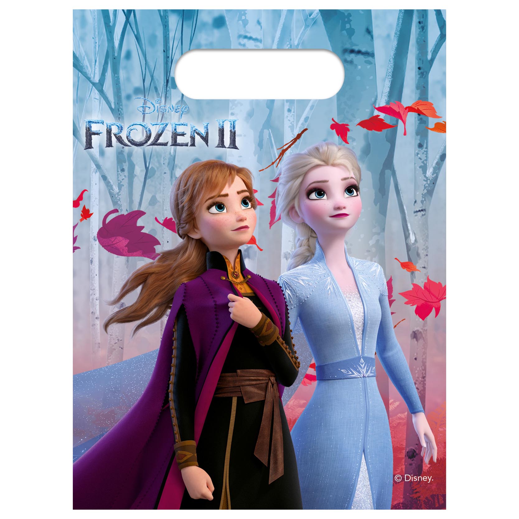 Frozen 2 Party Tableware & Decorations Bundle - 16 Guests