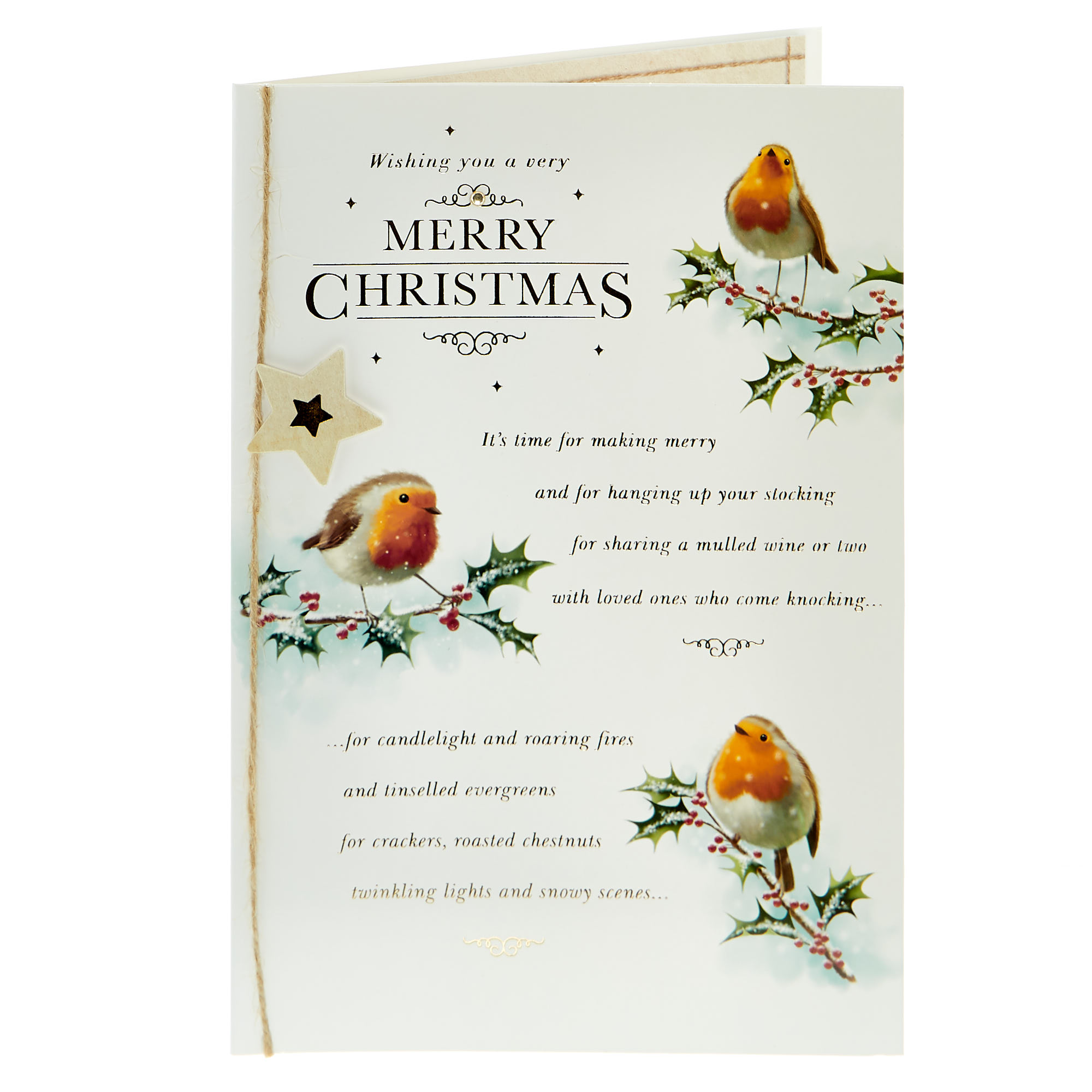 Christmas Card - Any Recipient, Robins 
