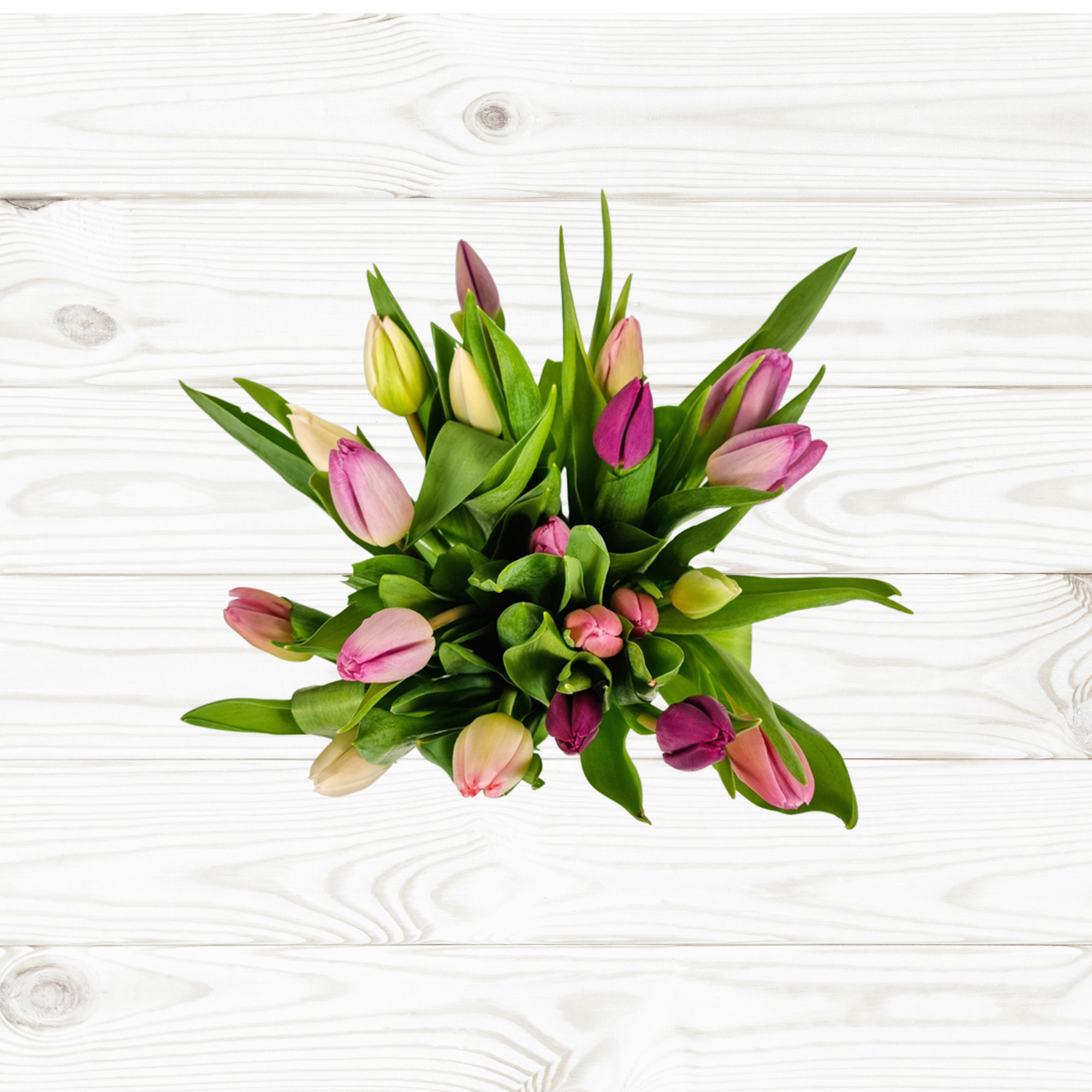 Buy Letterbox Tulips Flower Bouquet for GBP 23.99 Card Factory UK