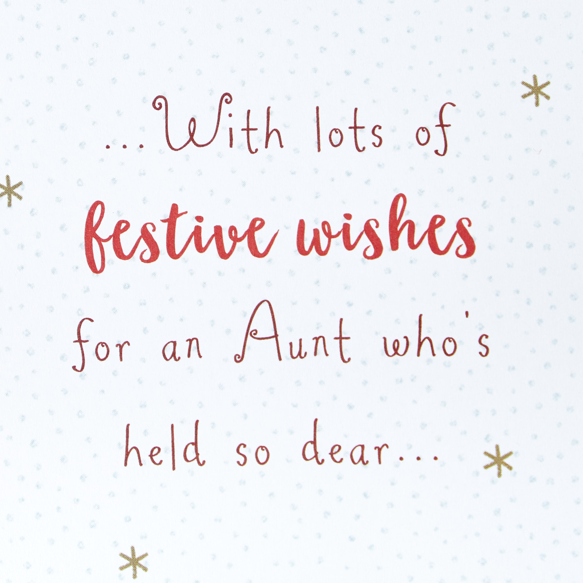 Christmas Card - To A Wonderful Aunt 