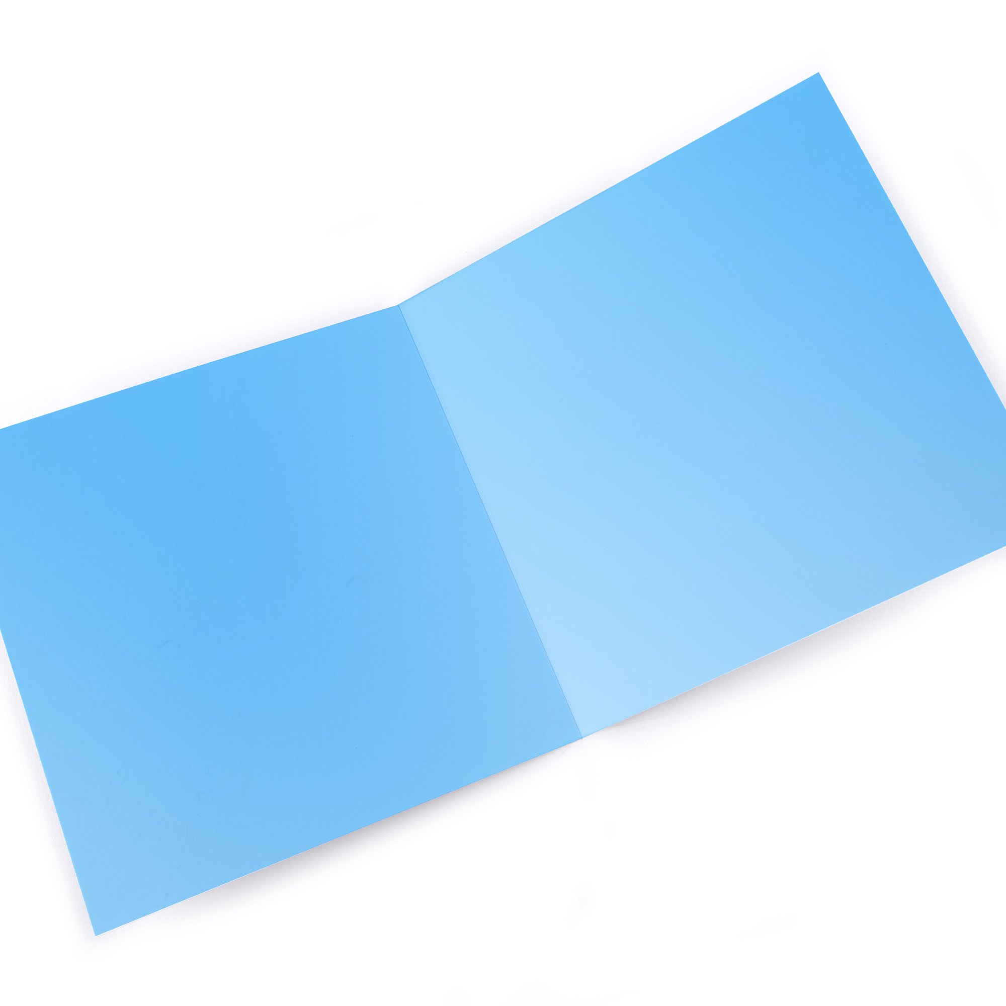 Photo Card - Blue Flowers Any Message