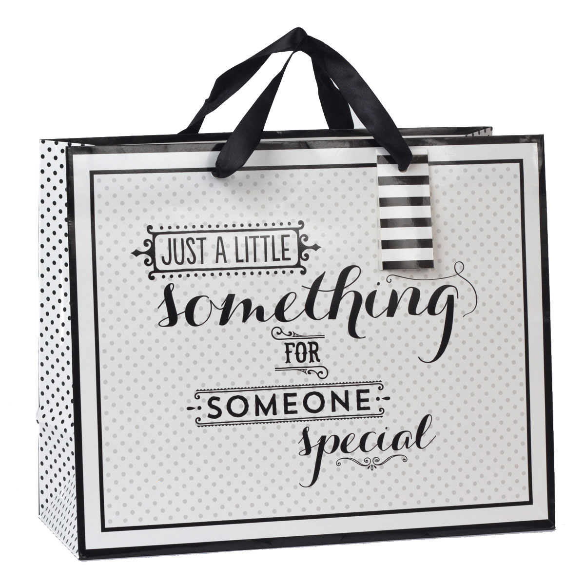 Large Landscape Black & White Someone Special Gift Bag