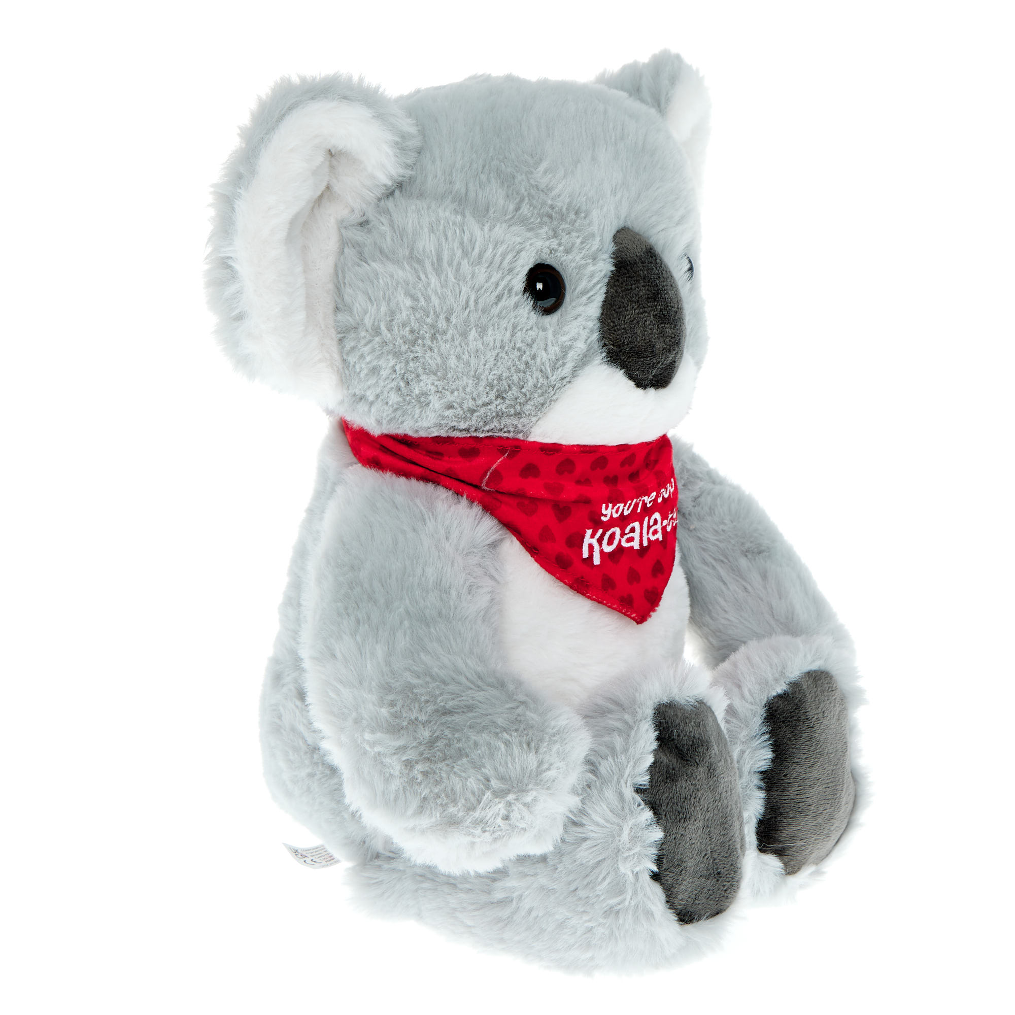 Large You're Top Koala-ty Soft Toy