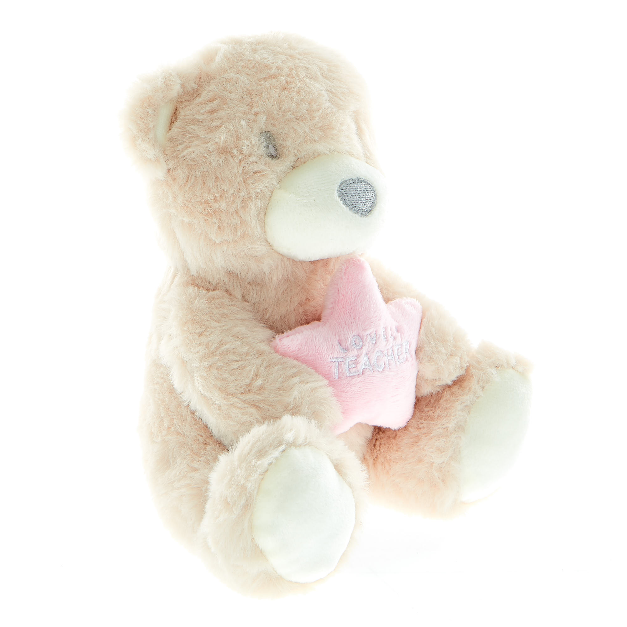 Lovely Teacher Bear Soft Toy