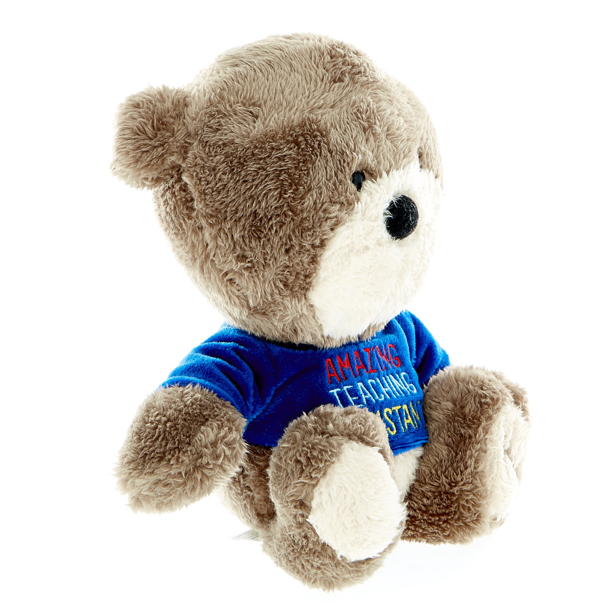 Hugs Bear Amazing Teaching Assistant Soft Toy 
