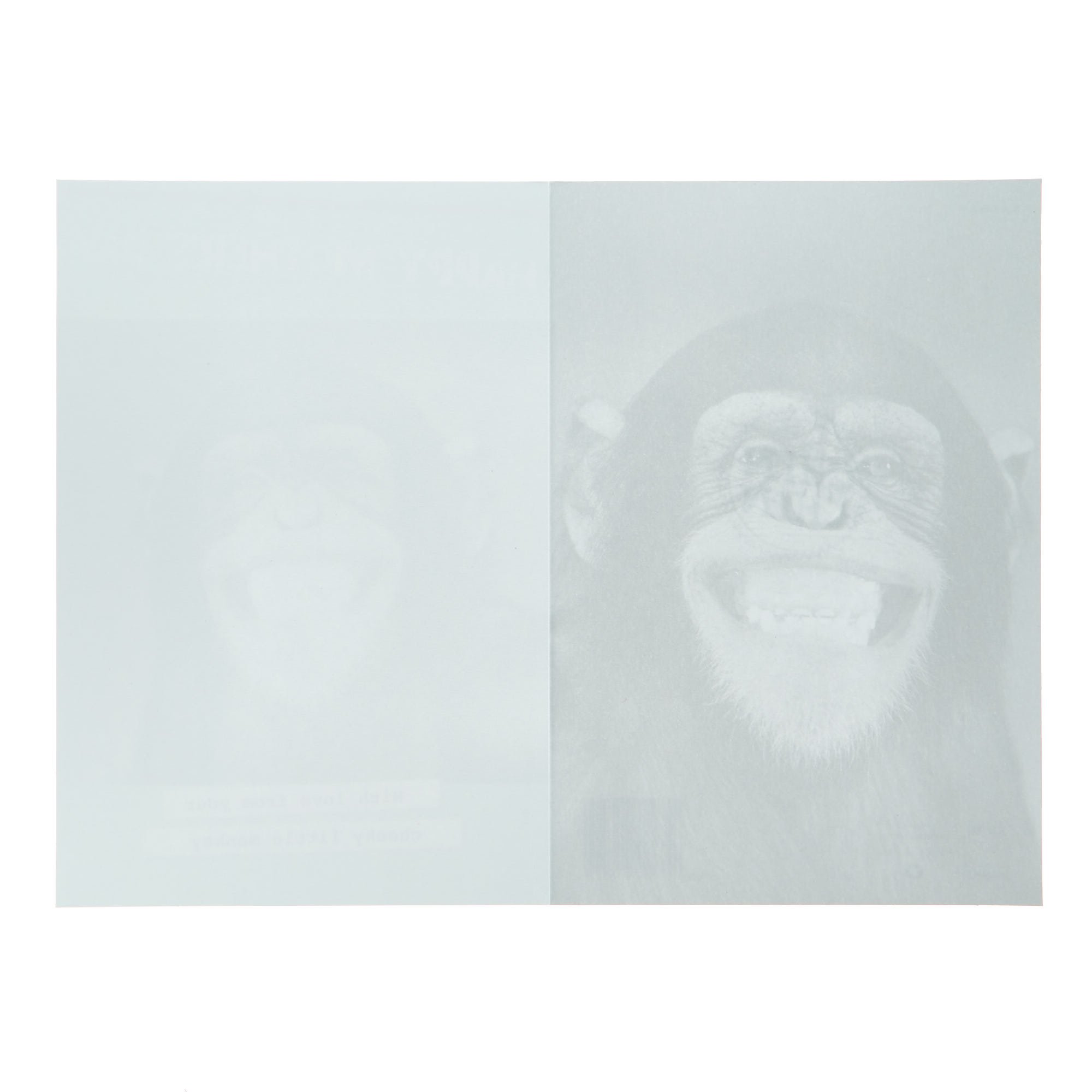 Mum From Your Little Monkey Mother's Day Card