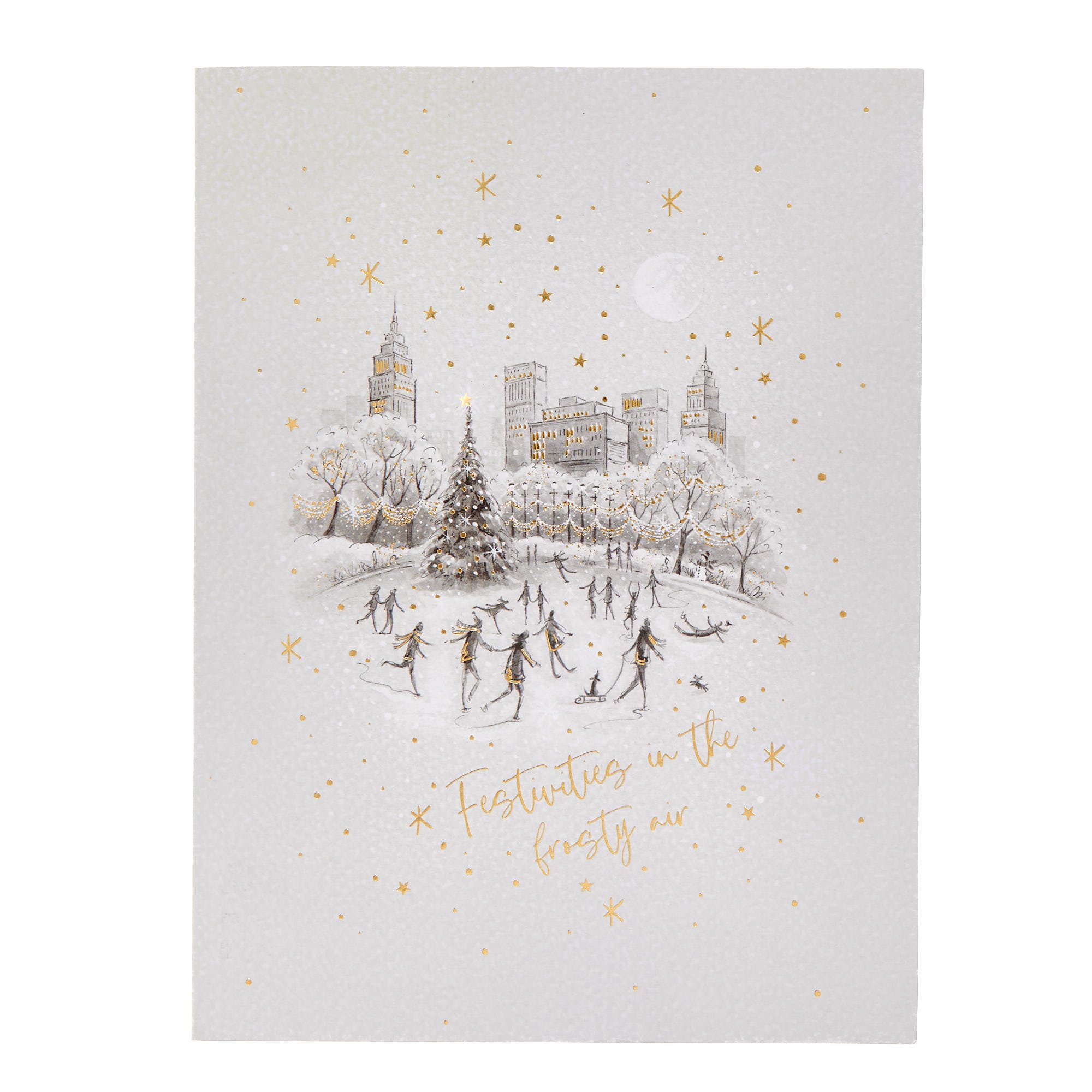 Deluxe Skating Scene Charity Christmas Cards - Pack of 10 (2 Designs)