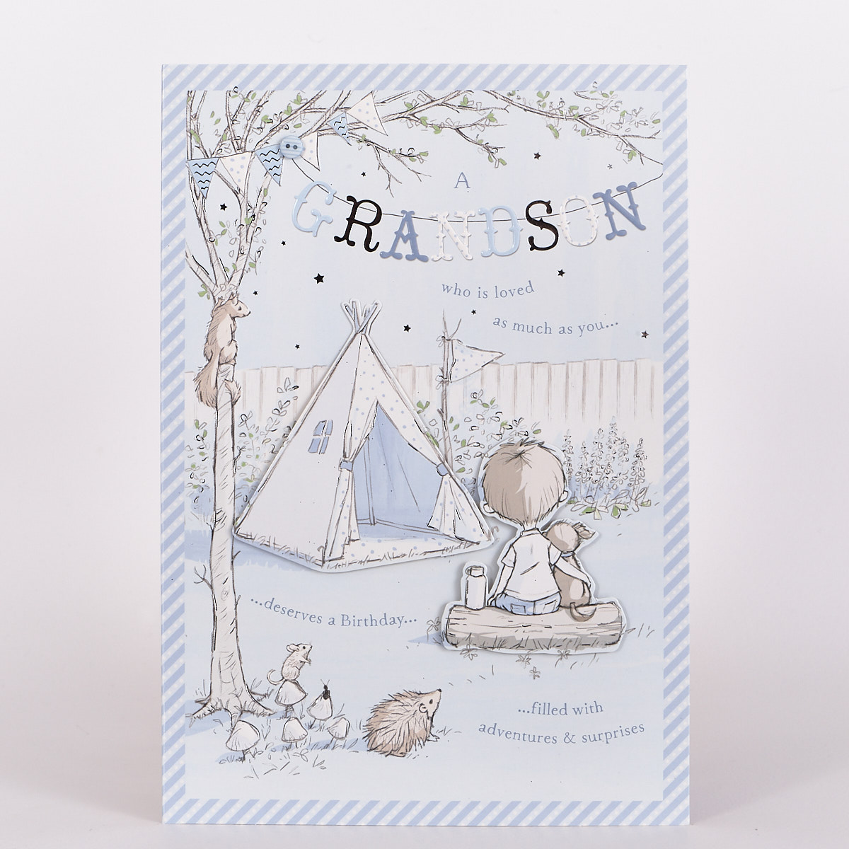 Signature Collection Birthday Card - Grandson Camping