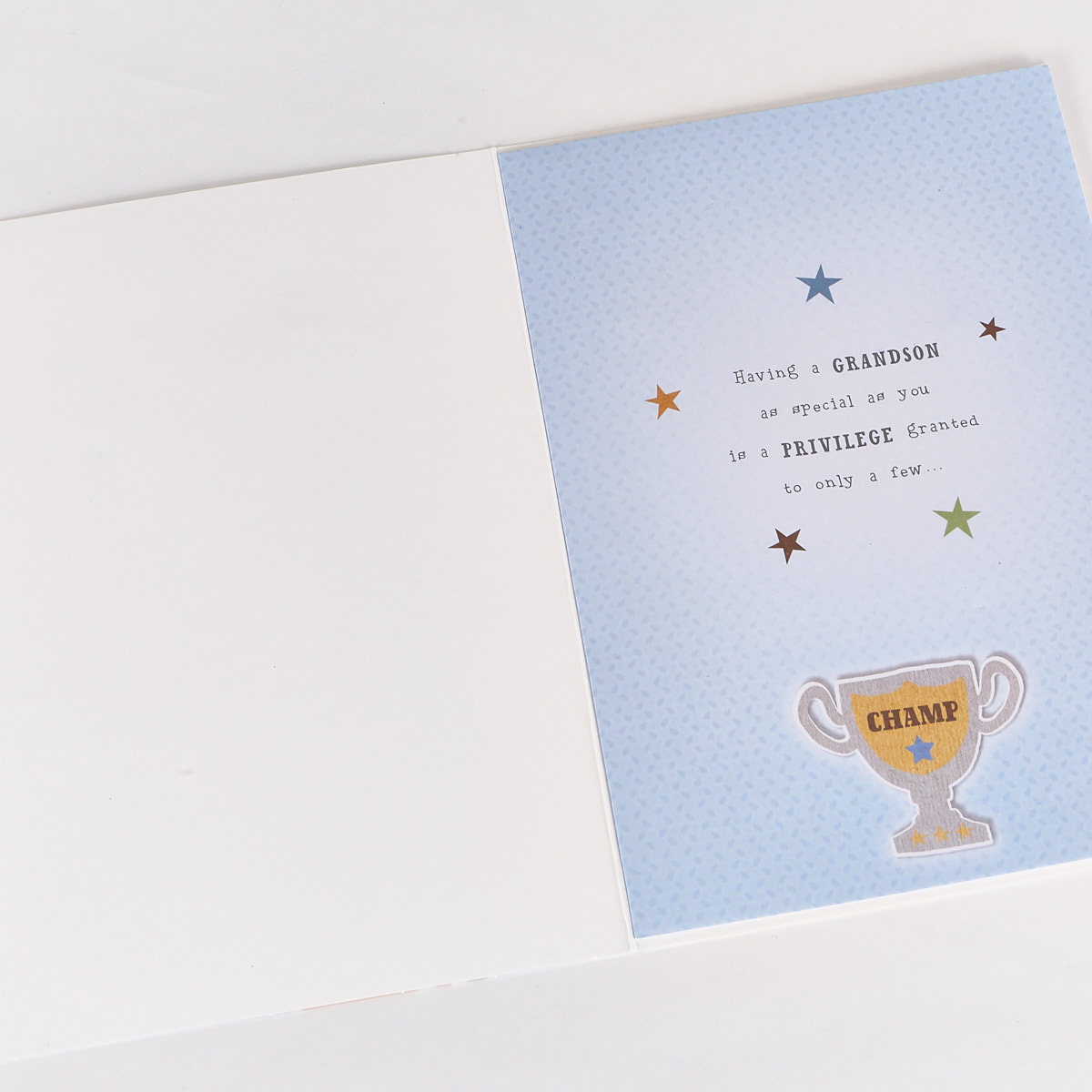 Signature Collection Birthday Card - Grandson Bear Trophy