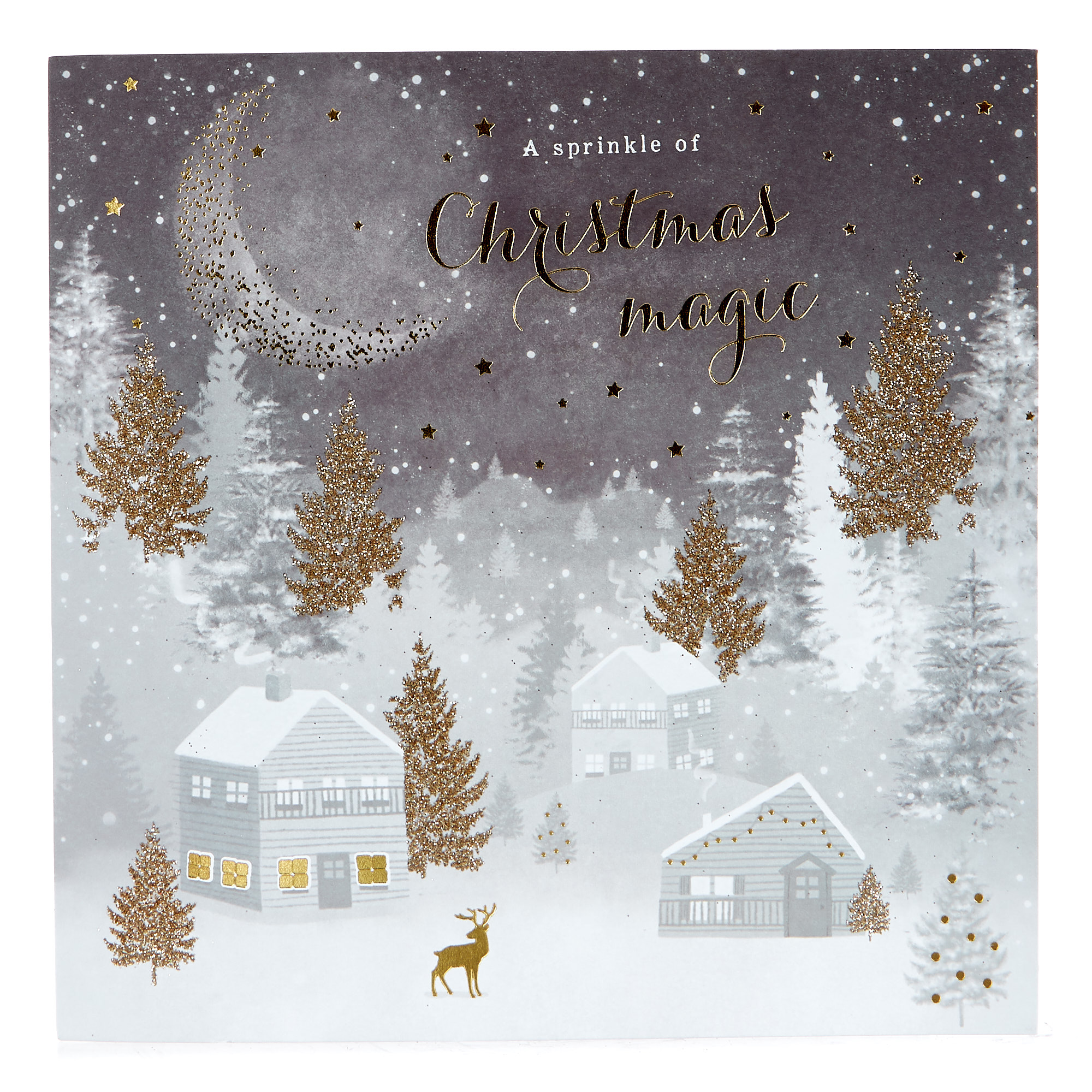 Exquisite Collection Magical Boxed Christmas Cards - Pack Of 10