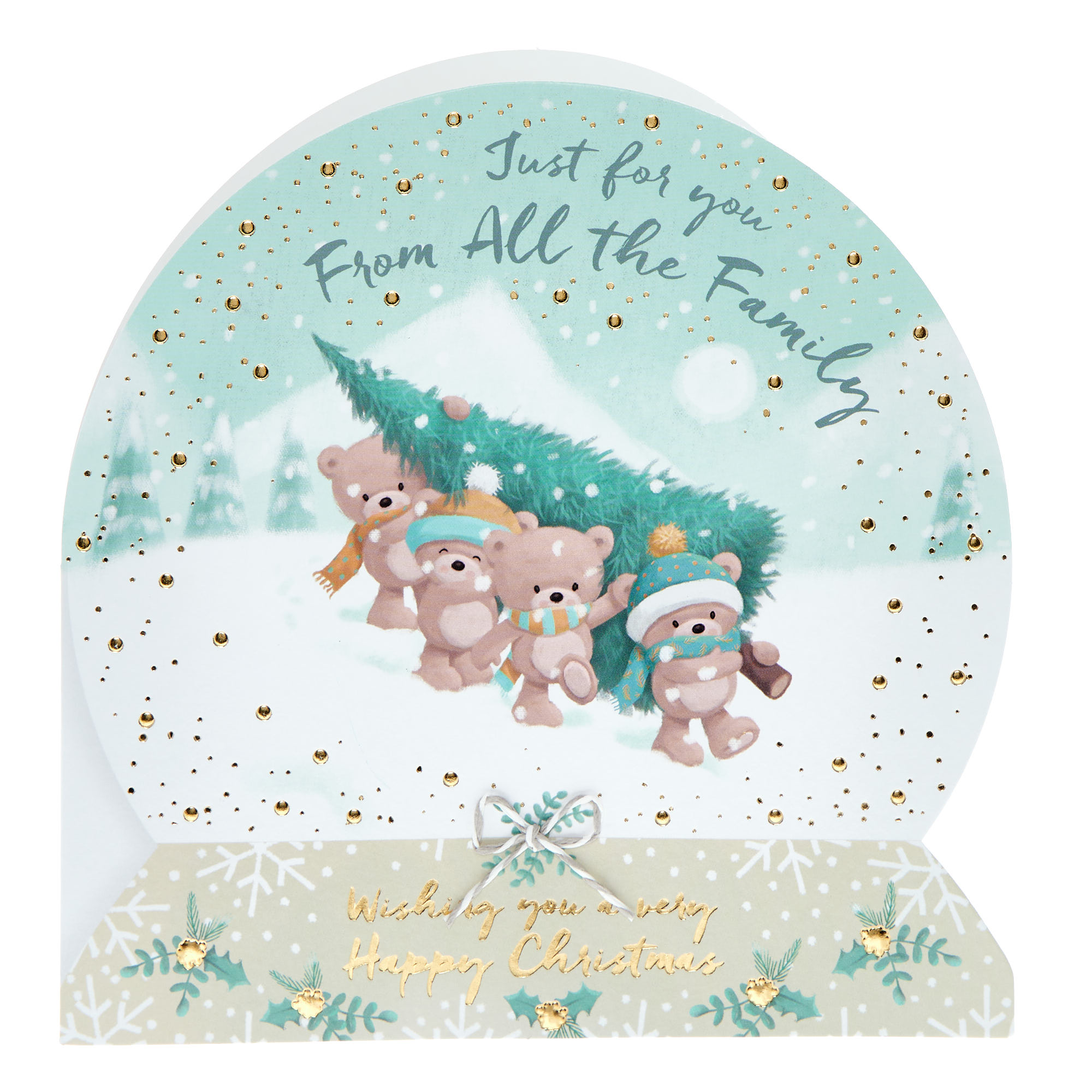 From All The Family Hugs Snowglobe Christmas Card