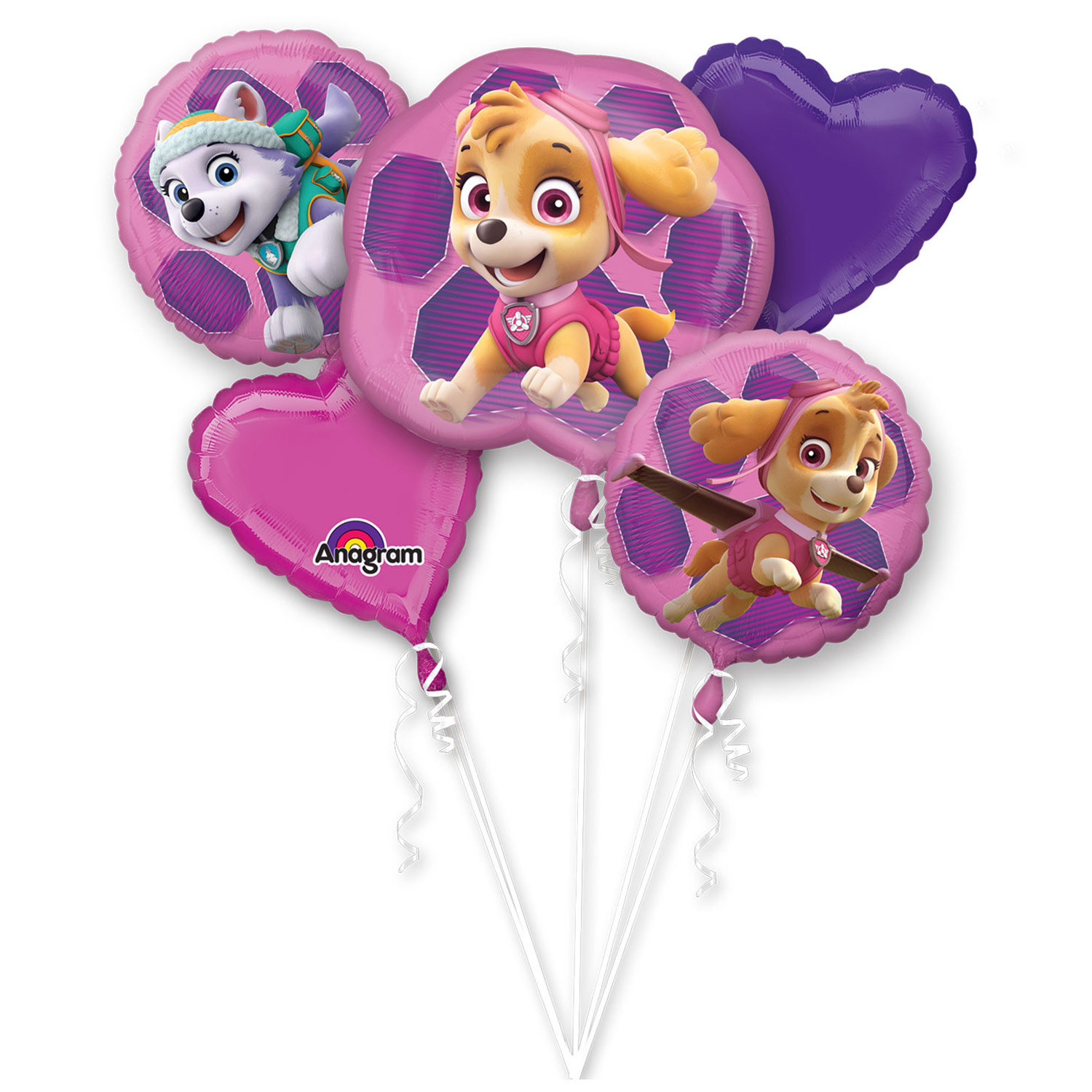 Bouquet Paw Patrol Skye Balloon Bouquet